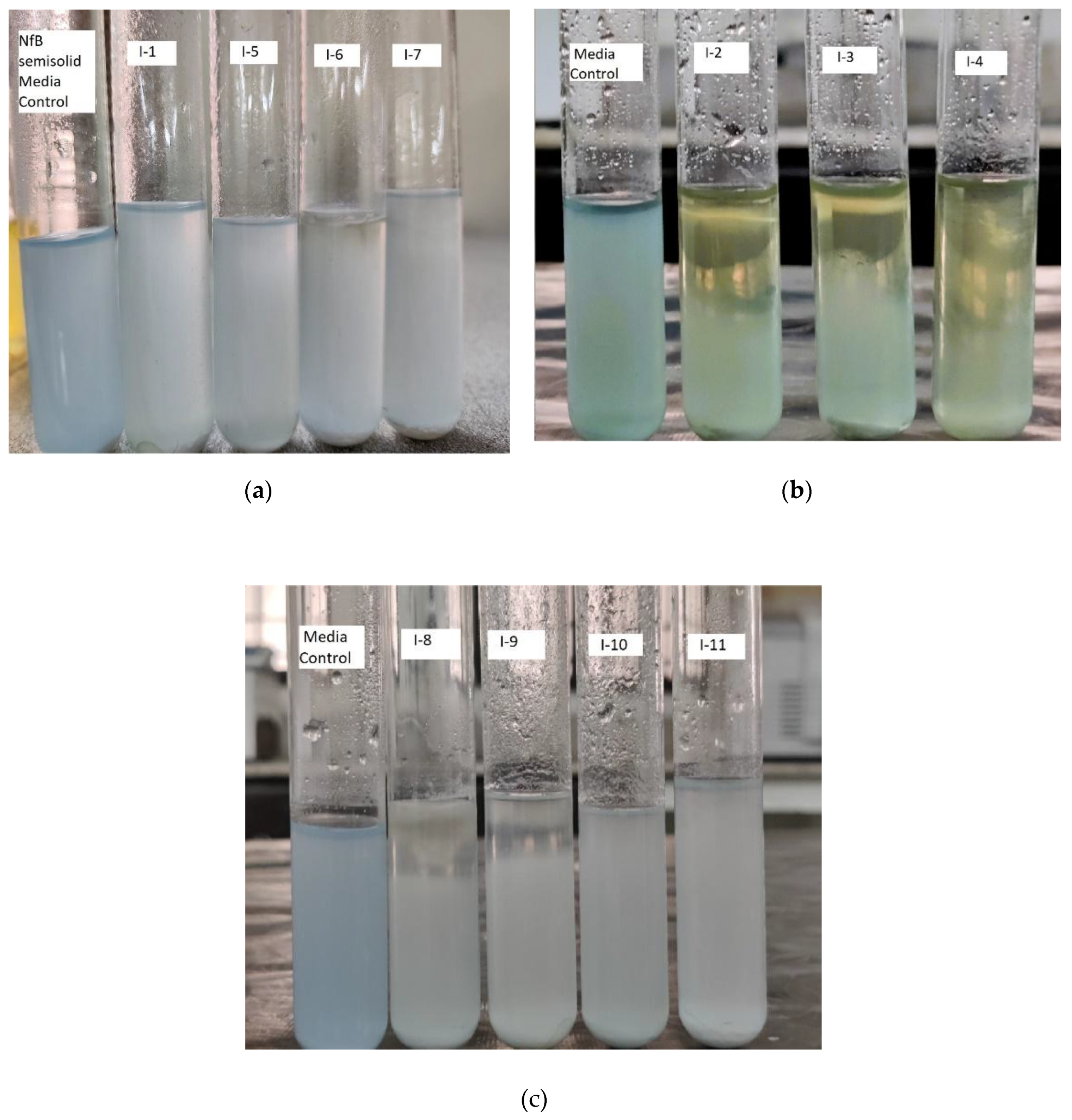 Preprints 170892 g002