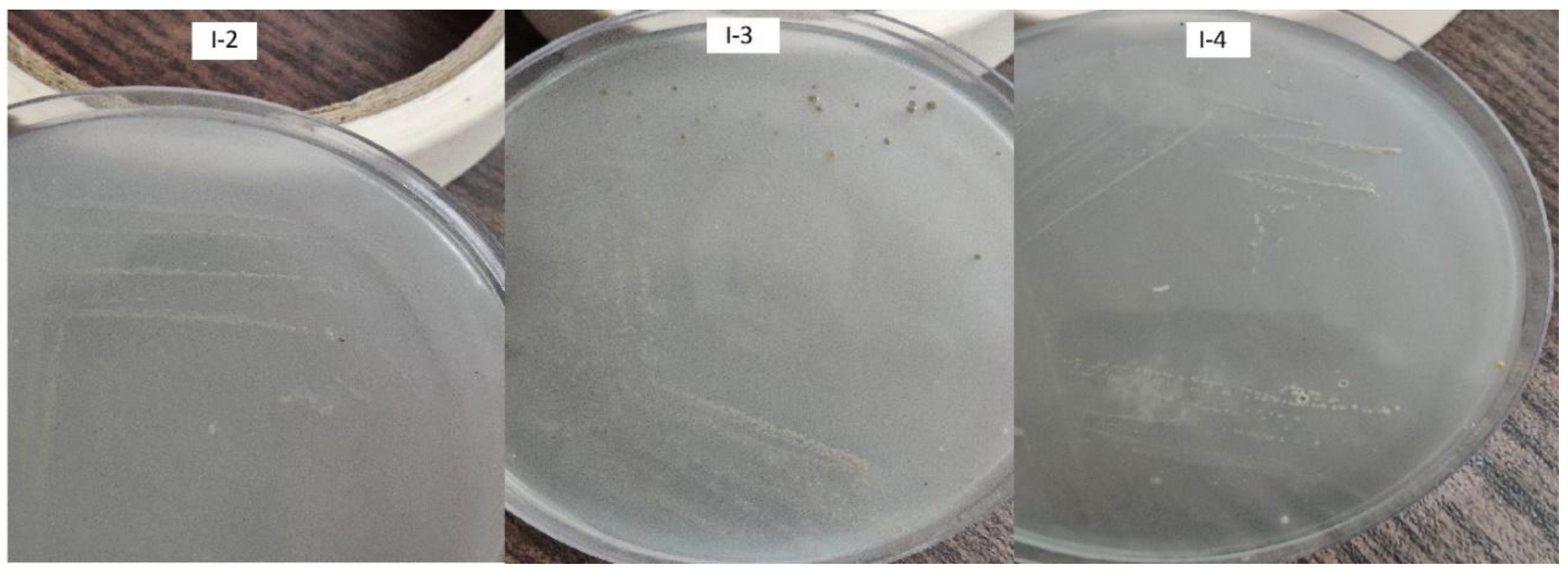 Preprints 170892 g003