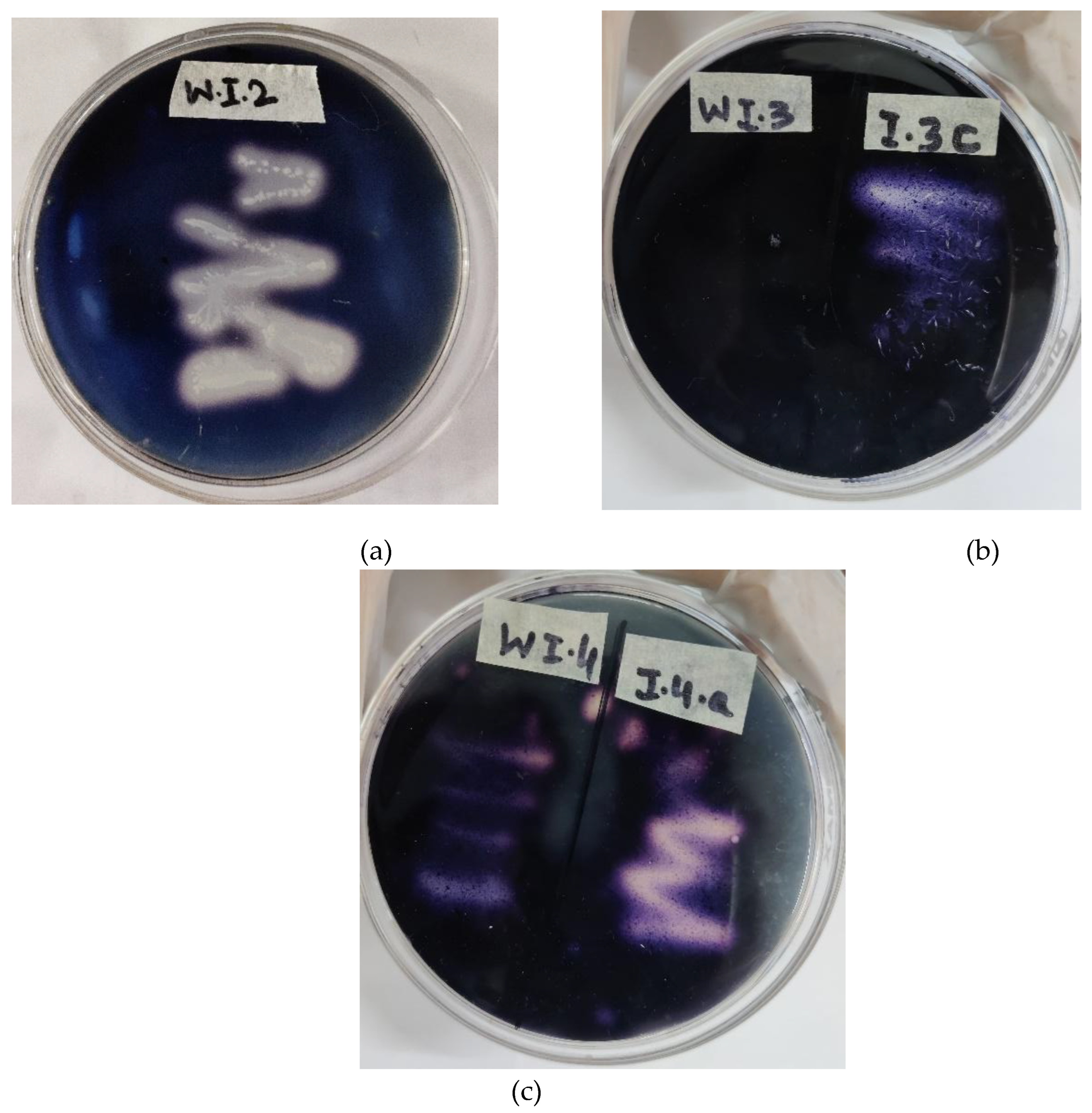 Preprints 170892 g005