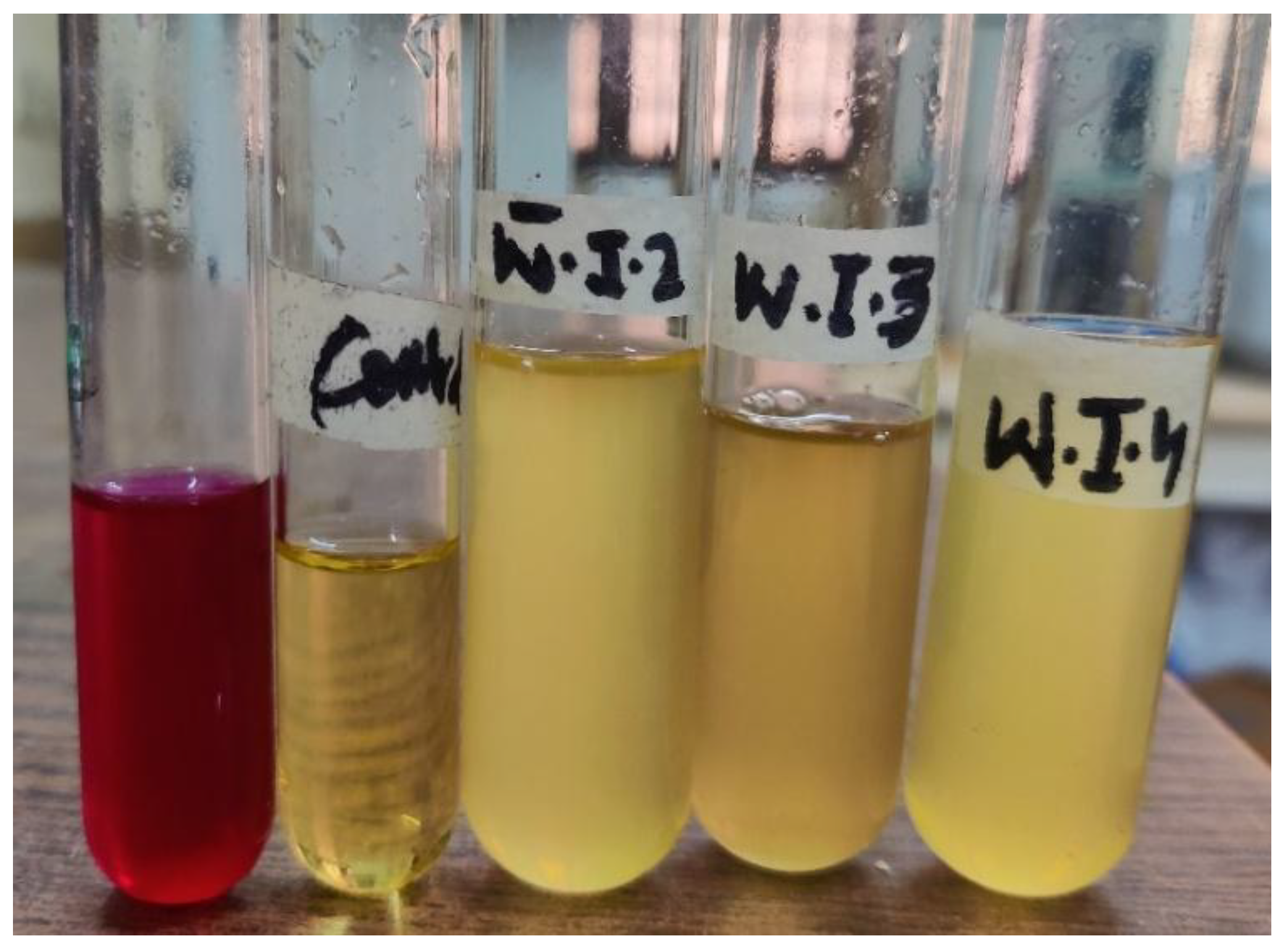 Preprints 170892 g006