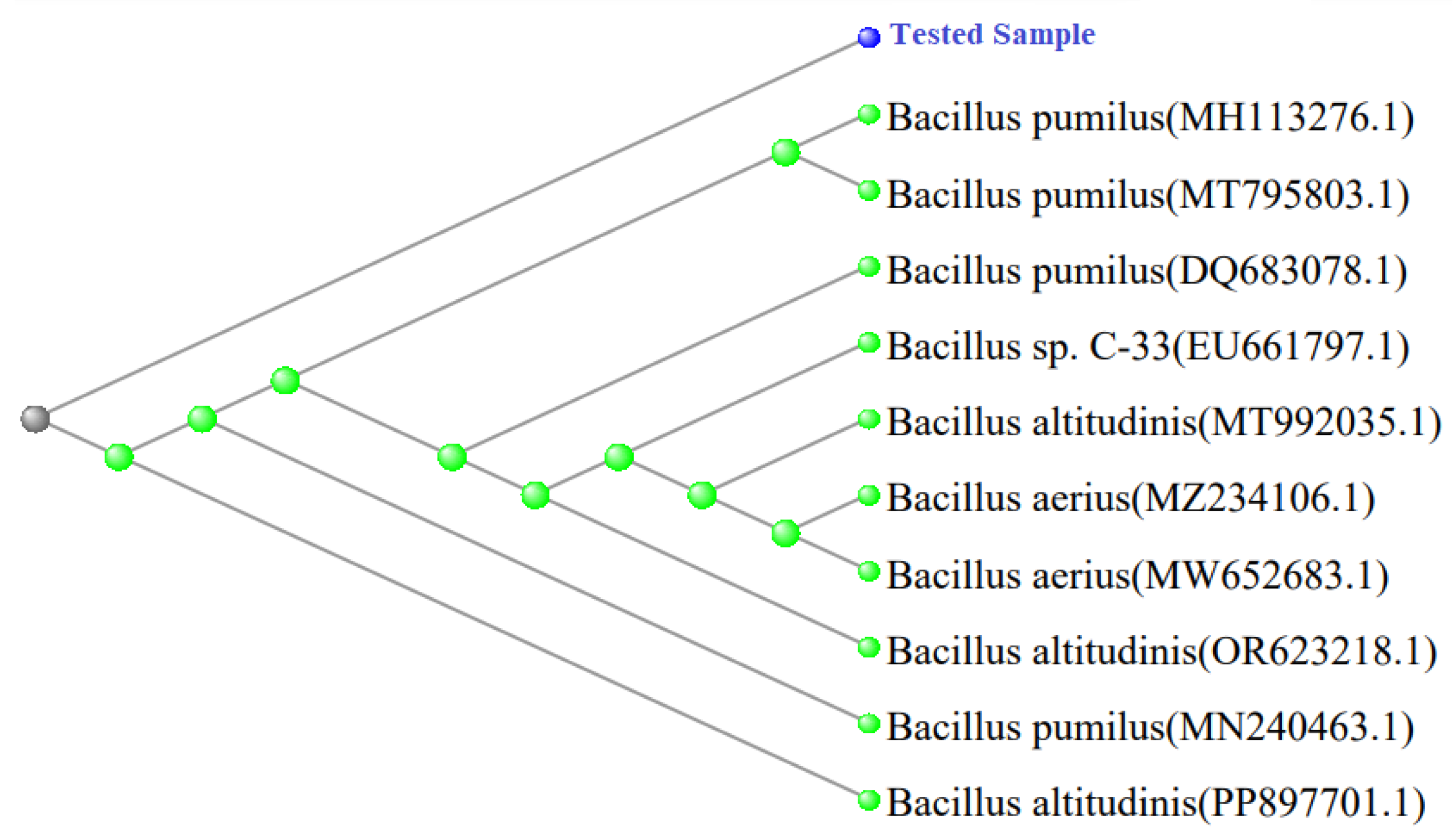 Preprints 170892 g007