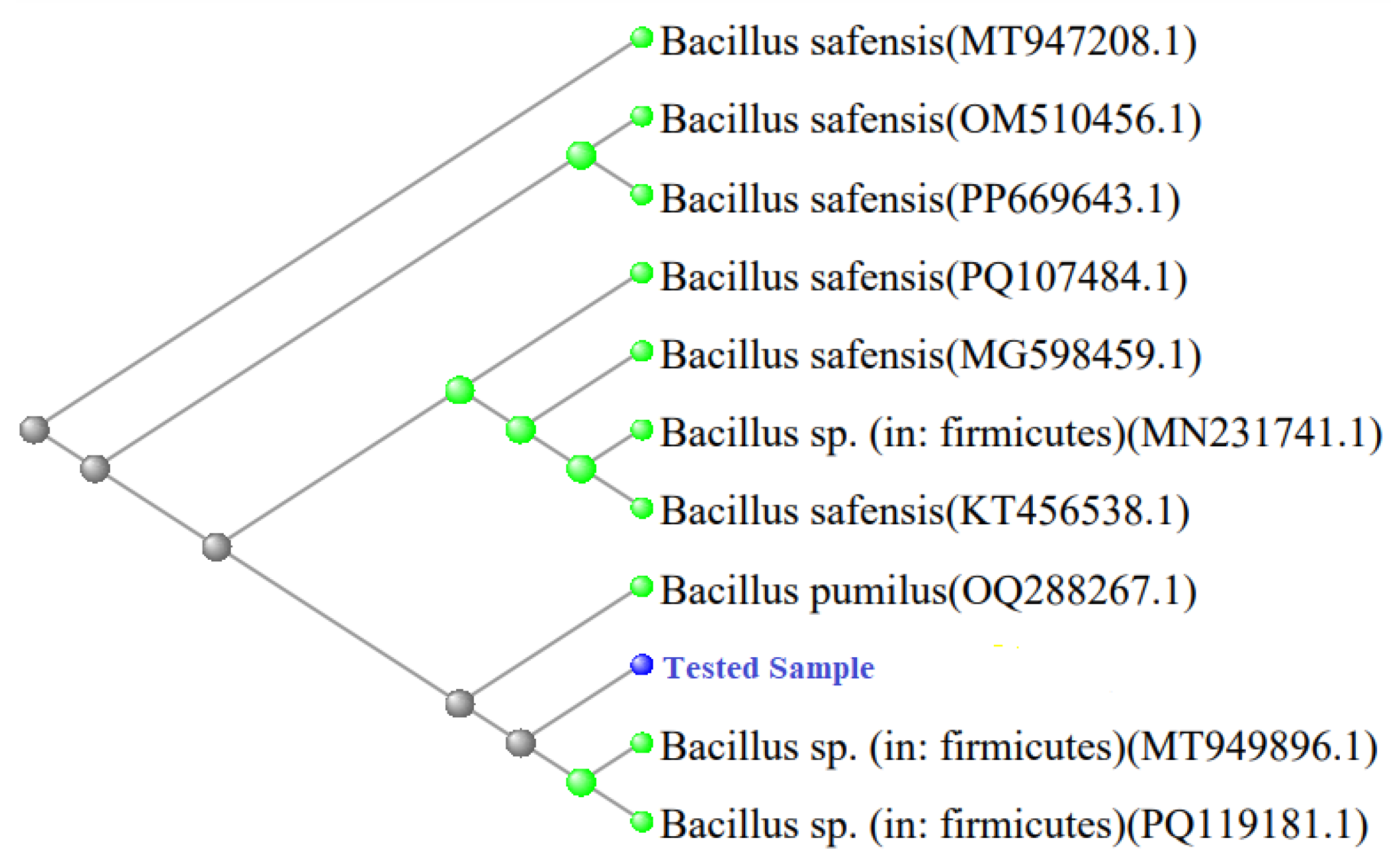 Preprints 170892 g008