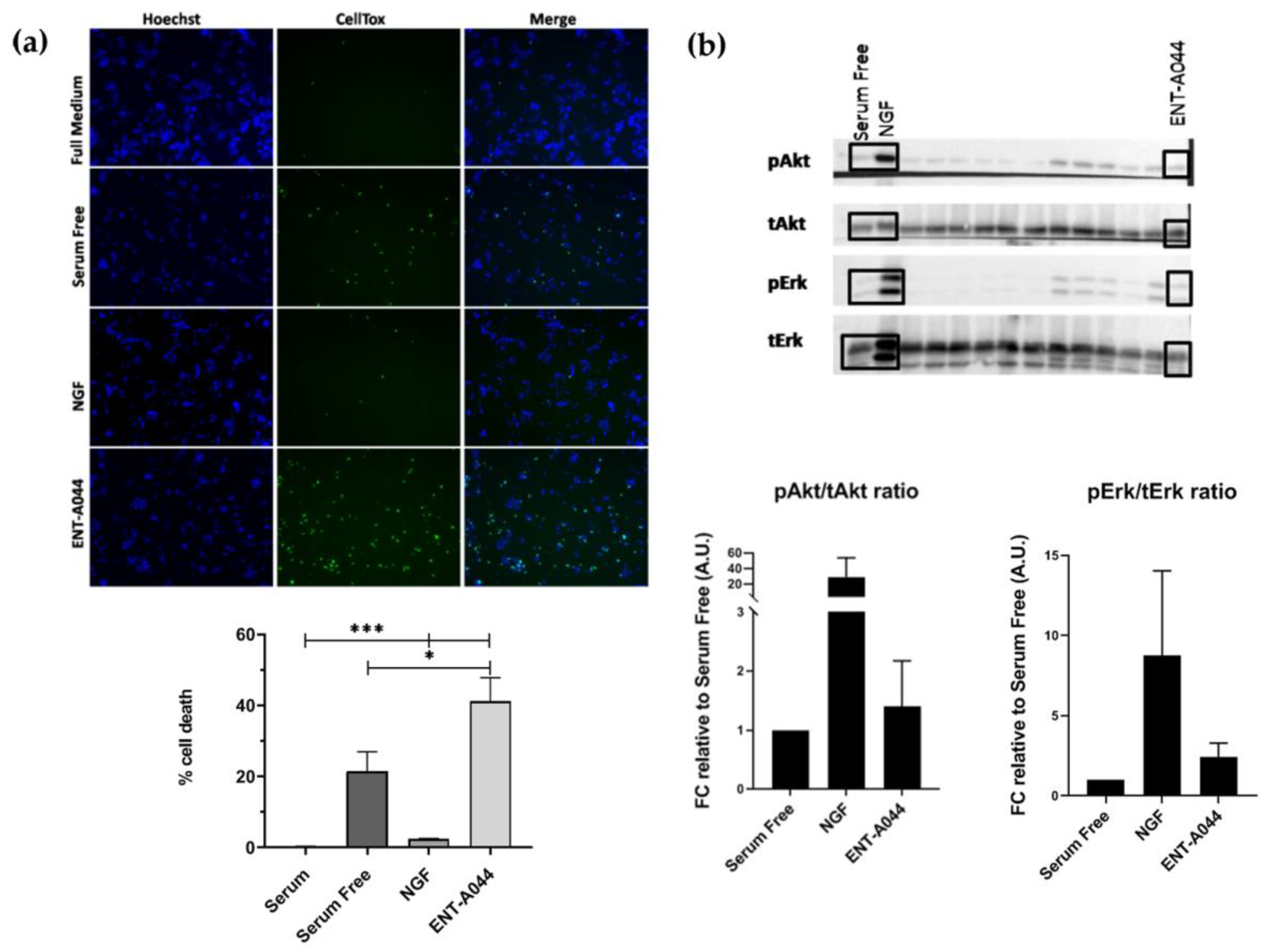 Preprints 77325 g001