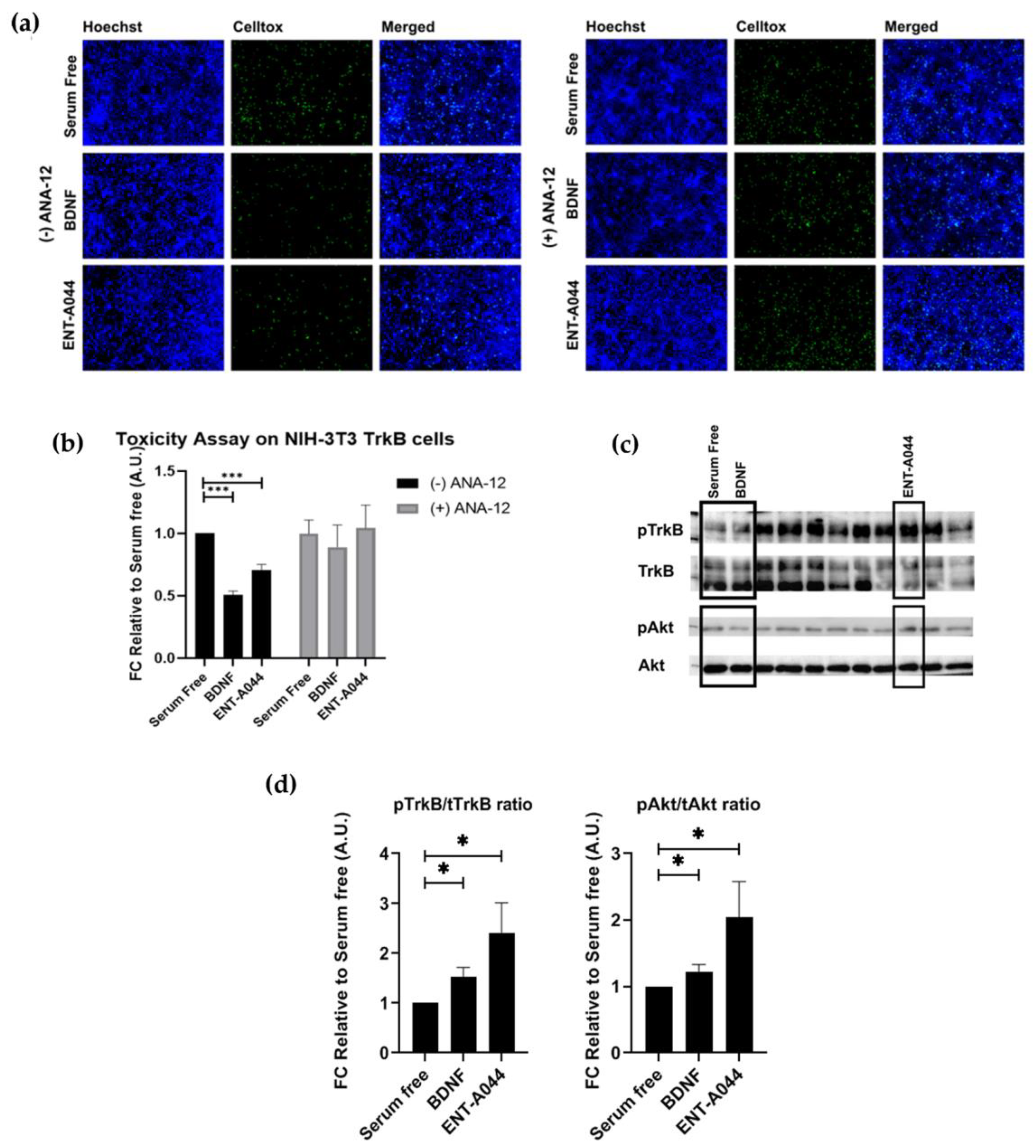 Preprints 77325 g002