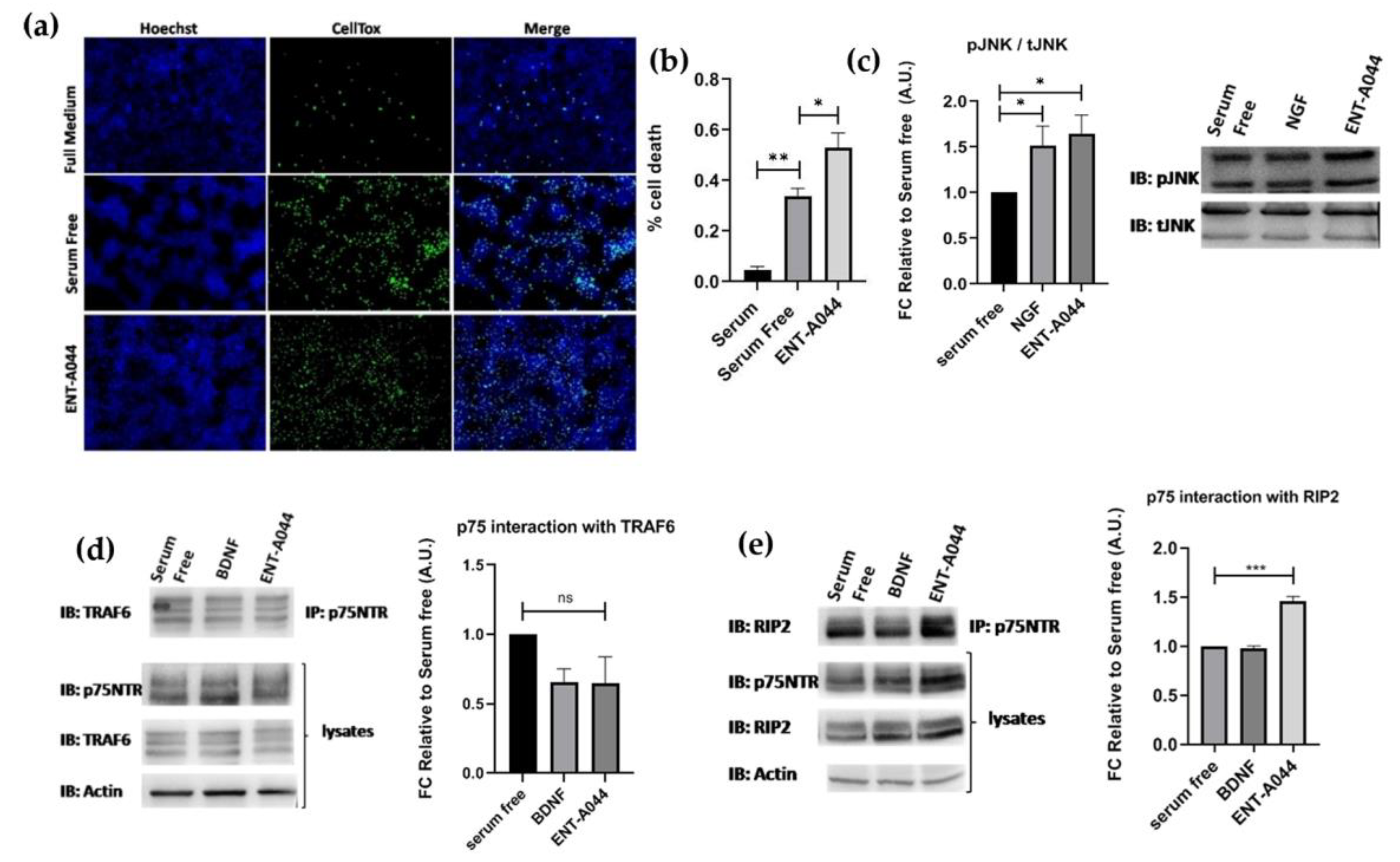 Preprints 77325 g003