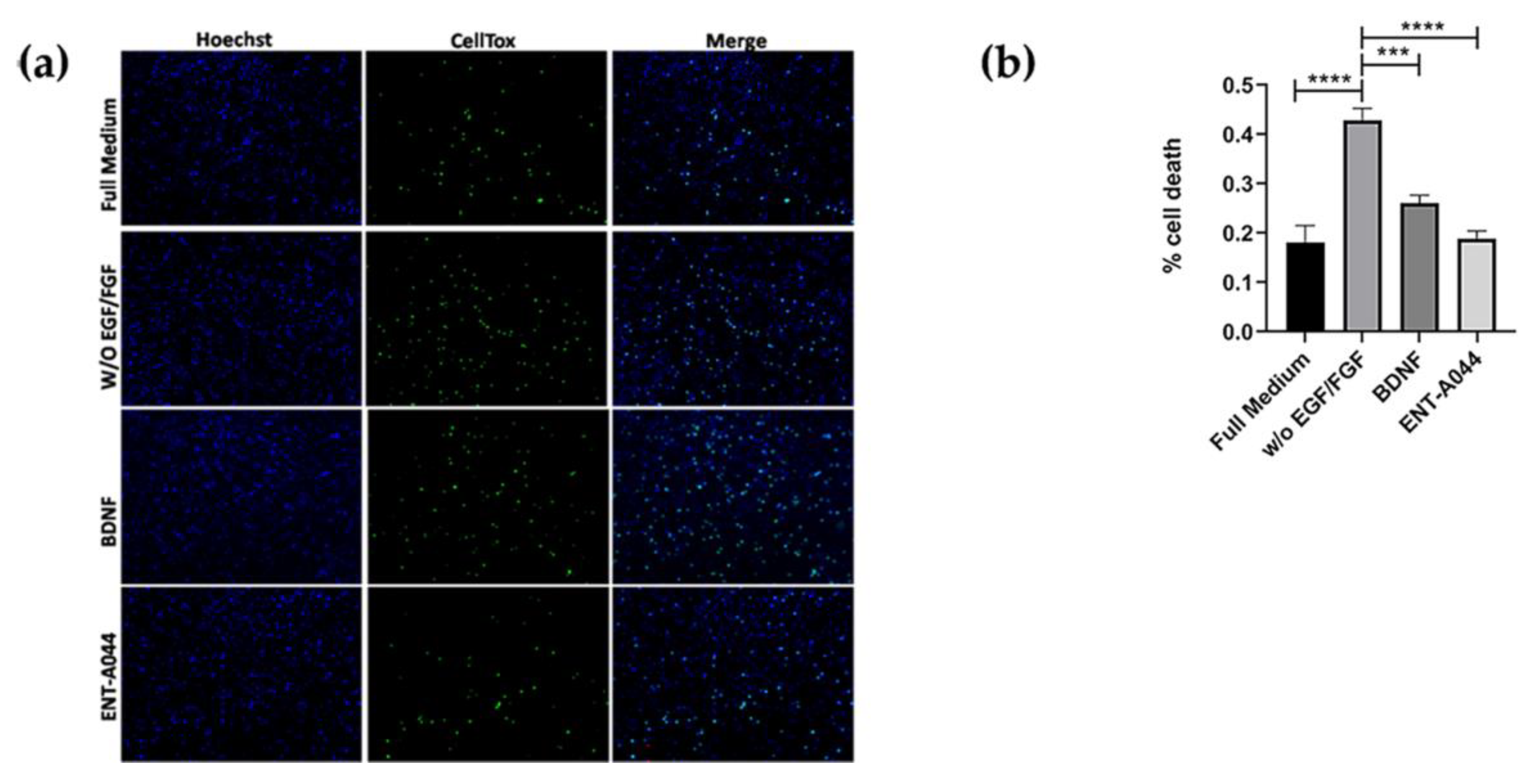 Preprints 77325 g004