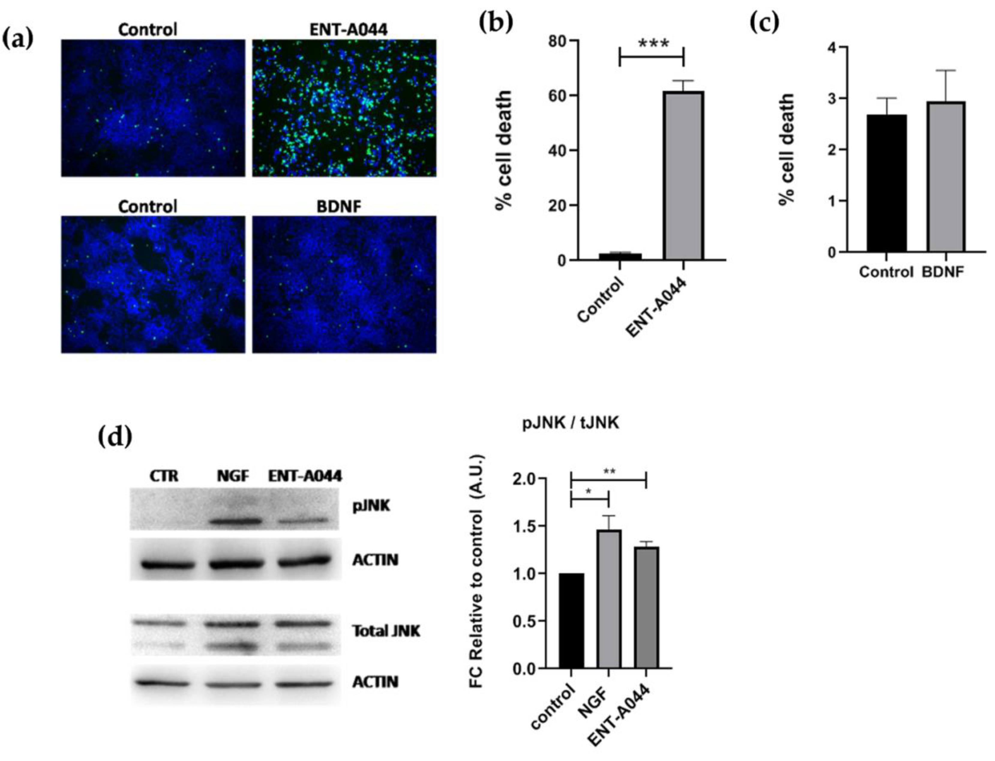 Preprints 77325 g005