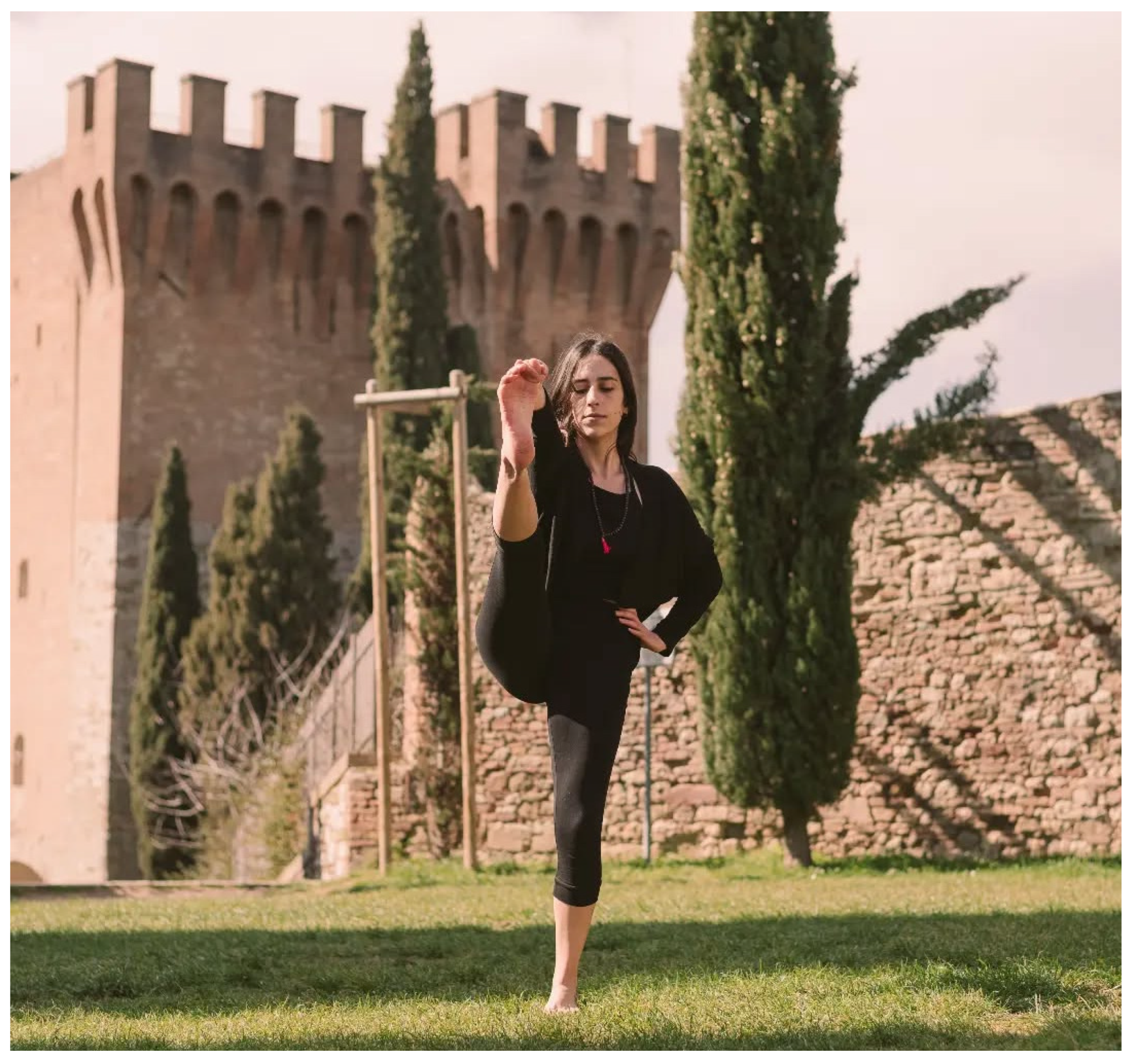 Preprints 202409 g003