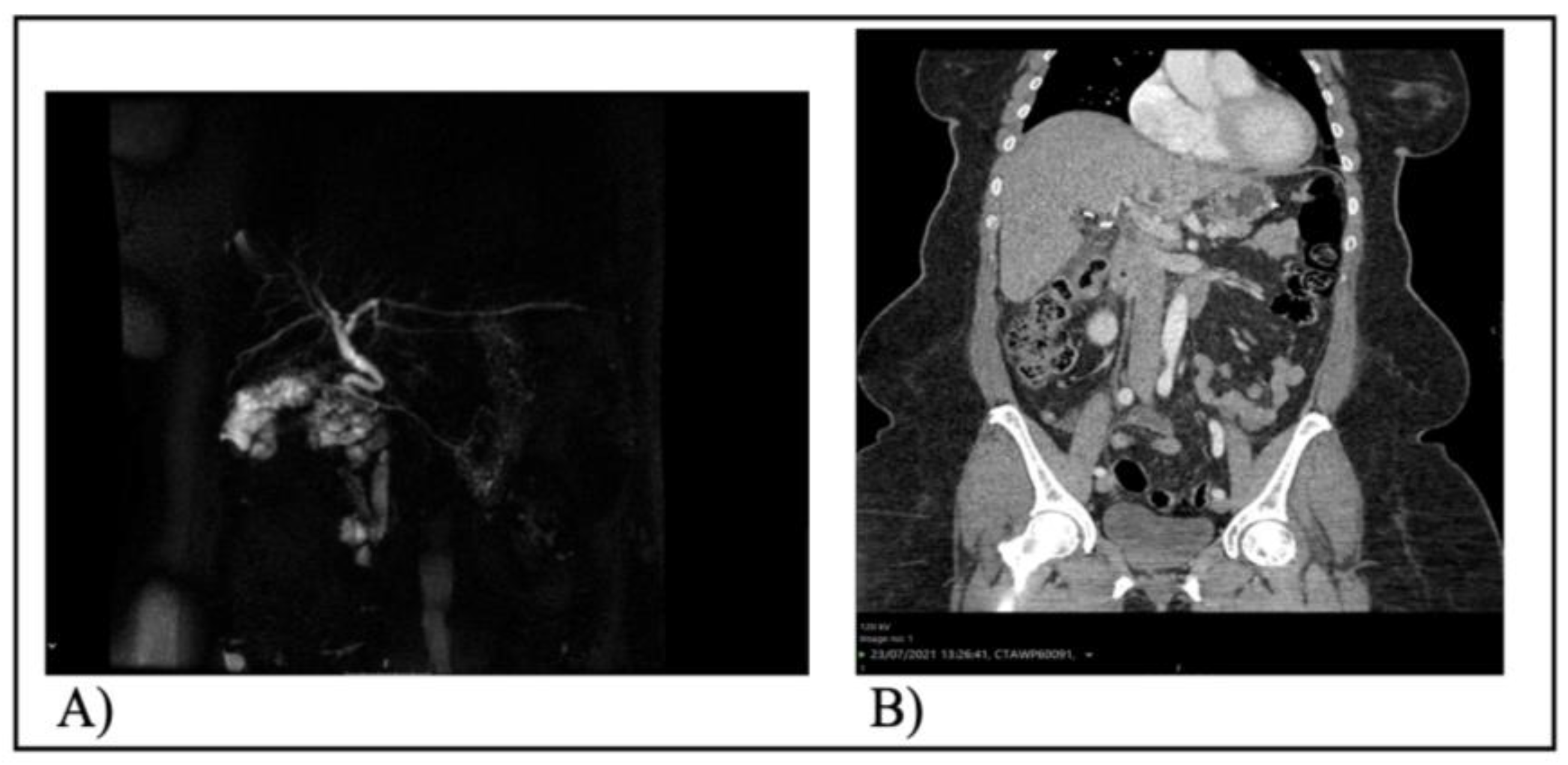 Preprints 121473 g001