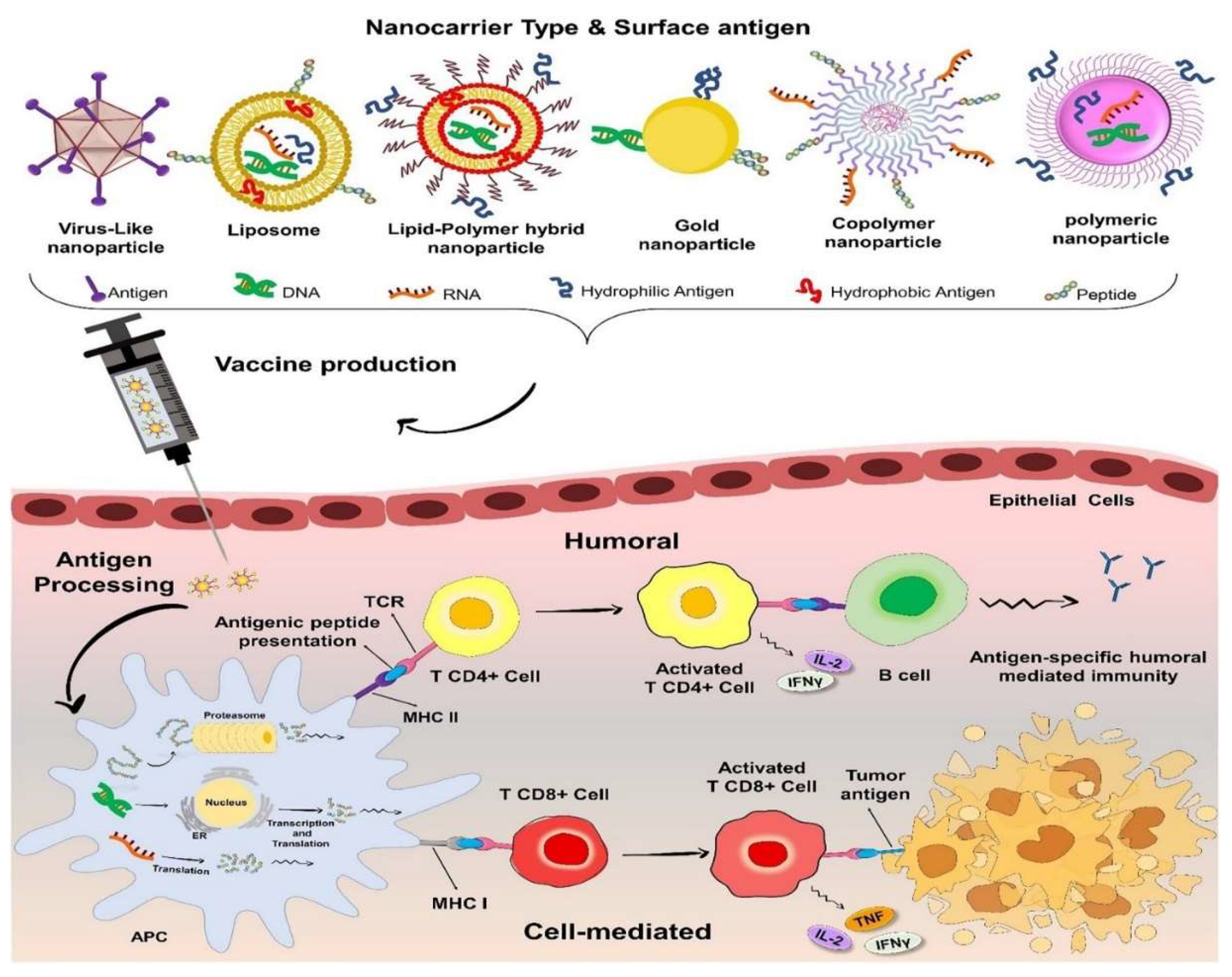 Preprints 147966 sch005