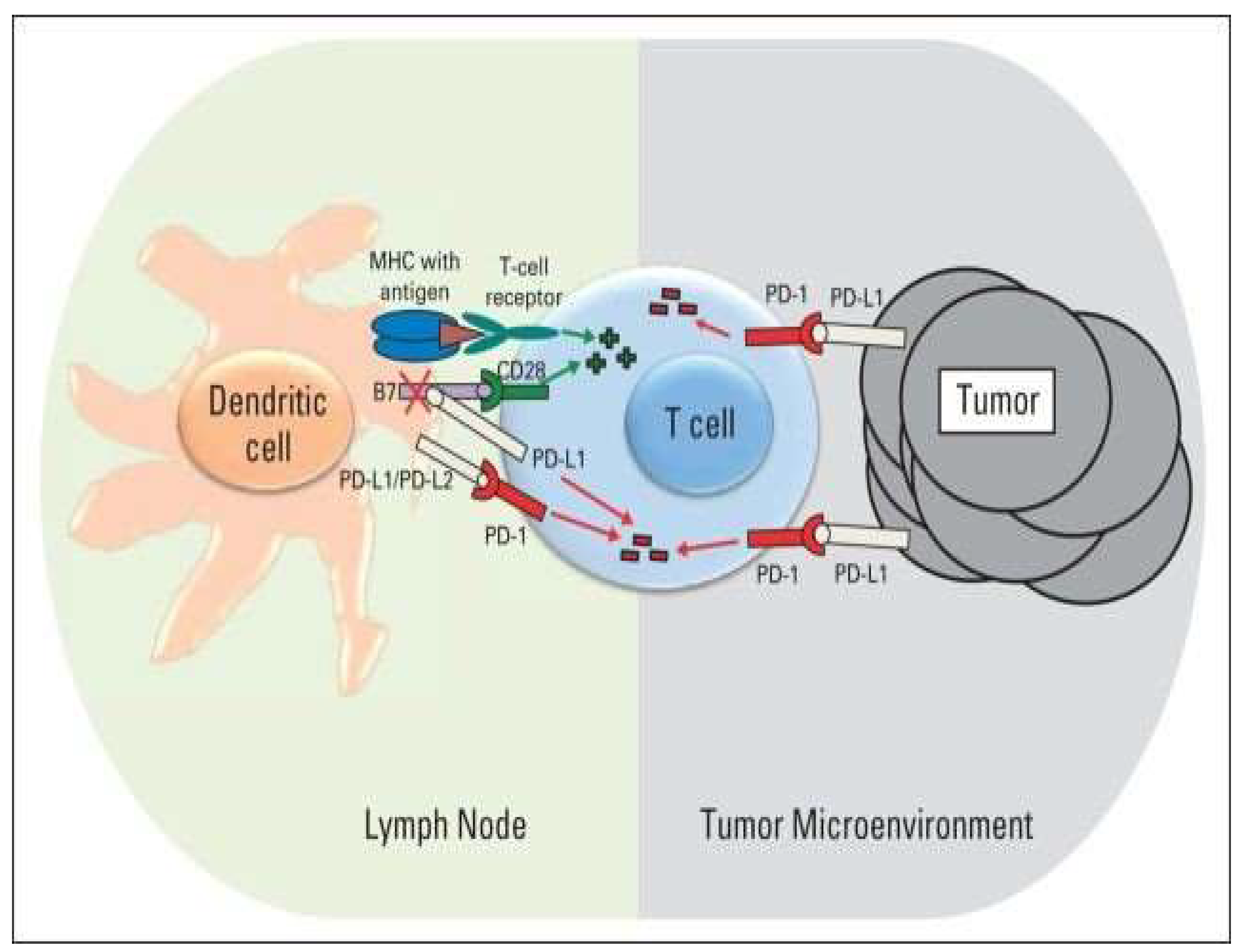 Preprints 147966 sch006