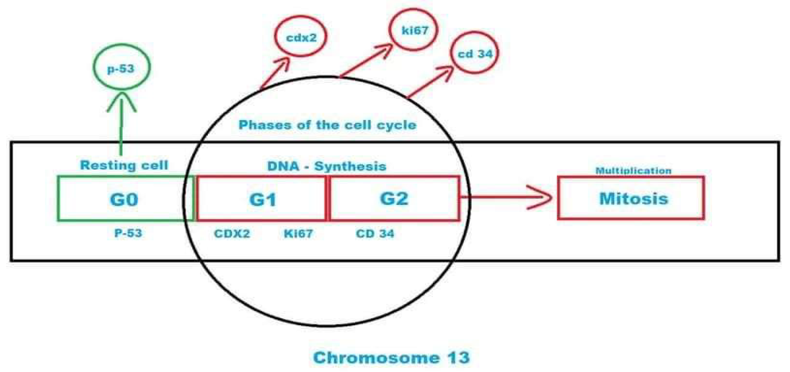 Preprints 147966 sch007