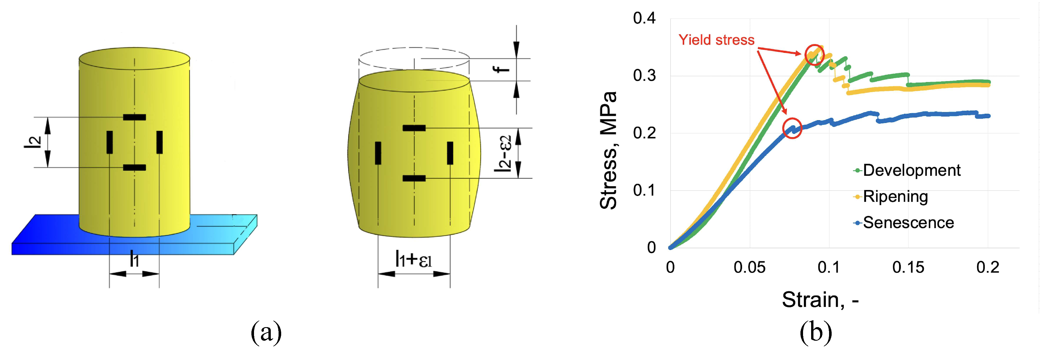 Preprints 154228 g001