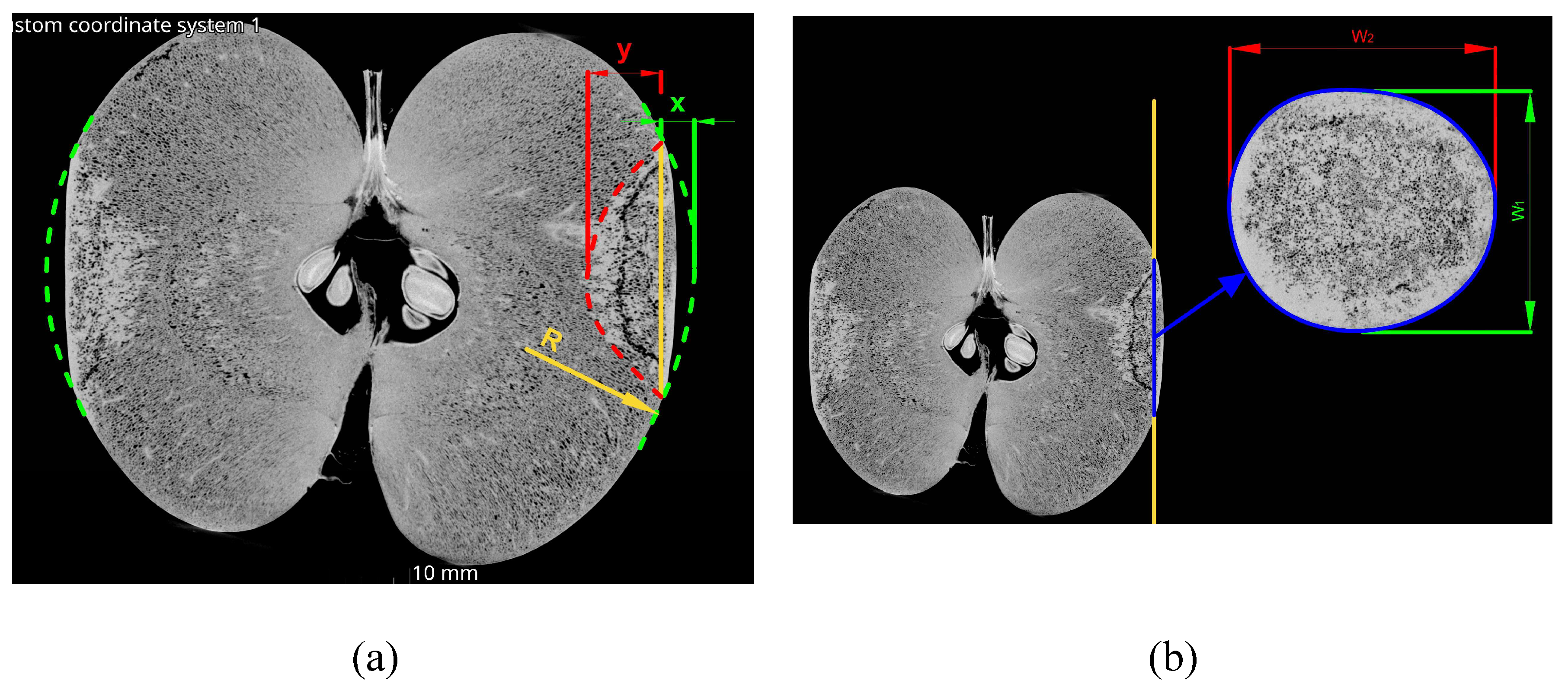 Preprints 154228 g004
