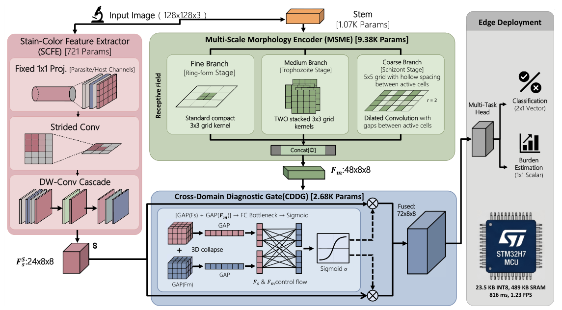 Preprints 217498 g001