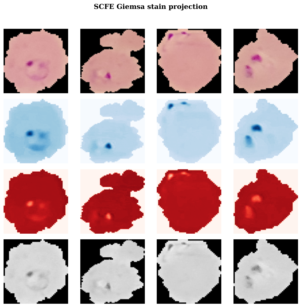 Preprints 217498 g002