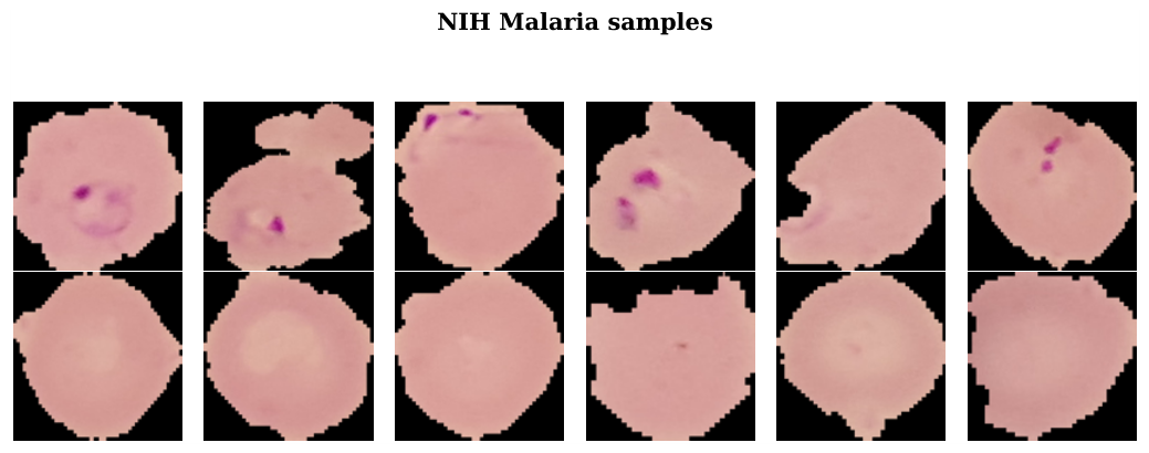 Preprints 217498 g003