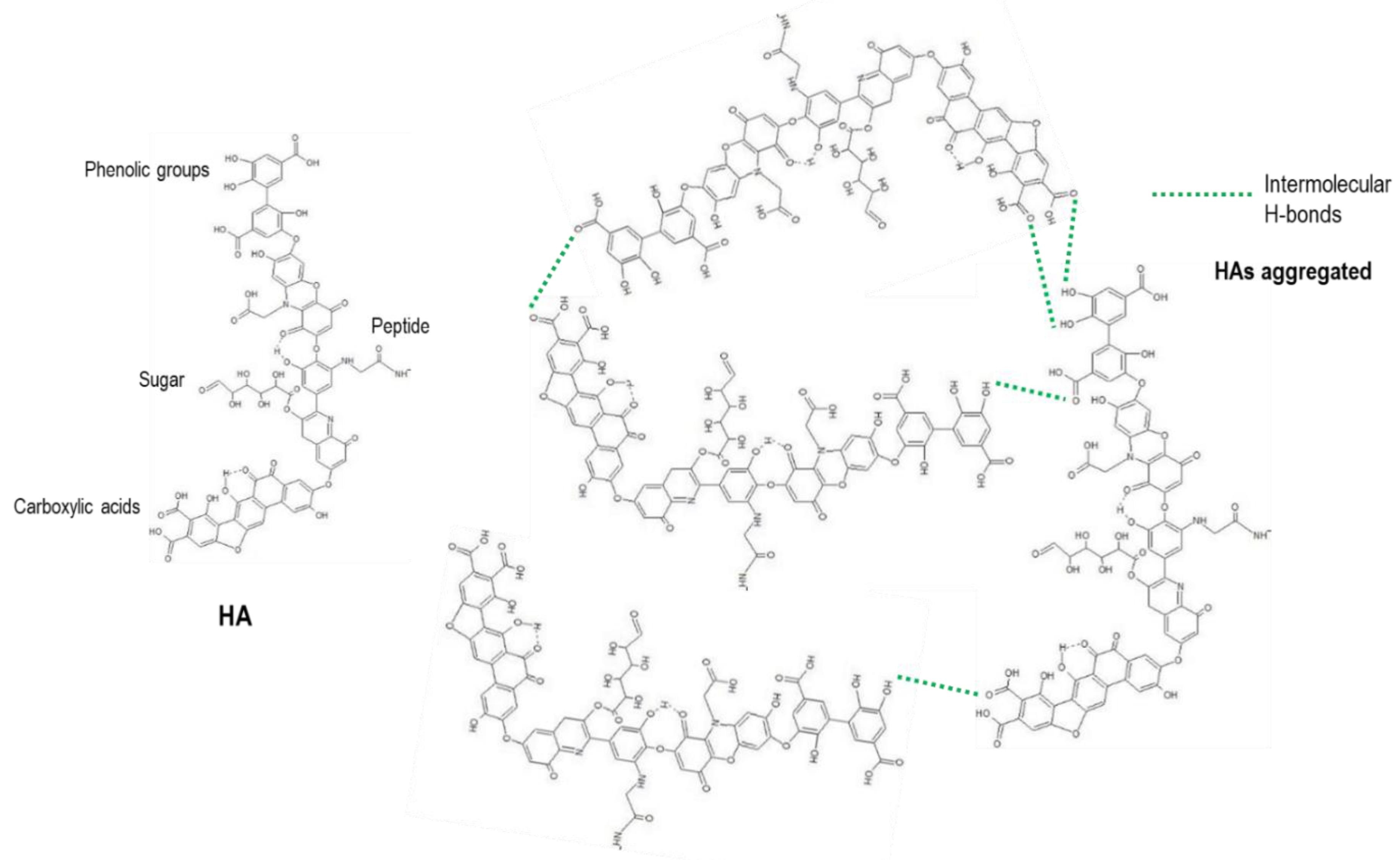Preprints 141722 g006