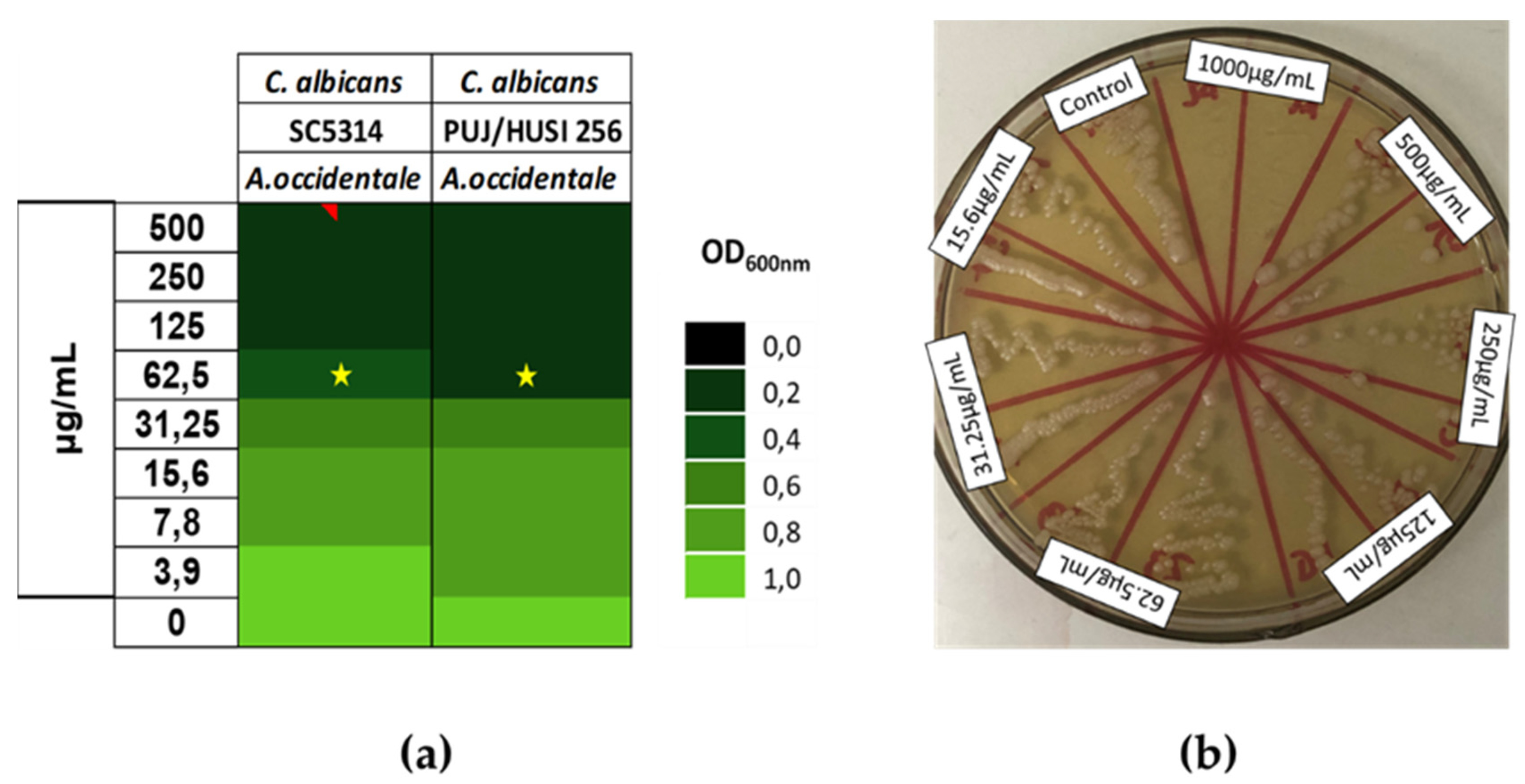 Preprints 105989 g002