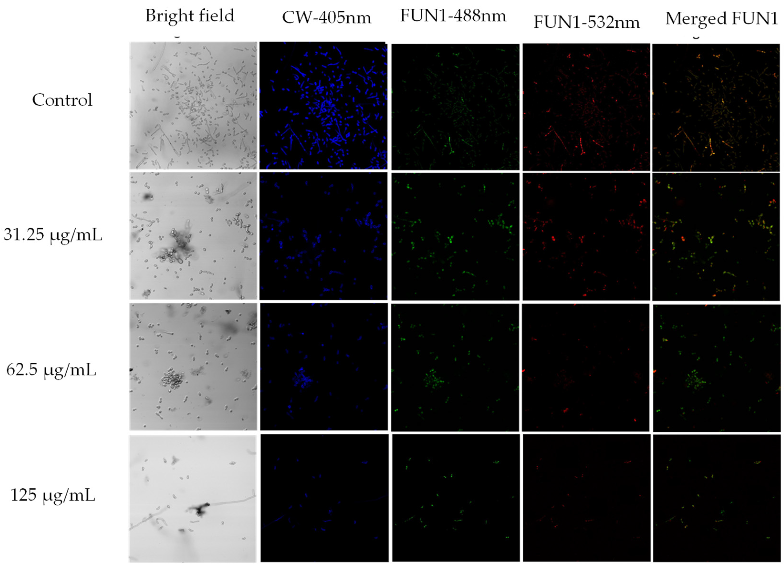 Preprints 105989 g004