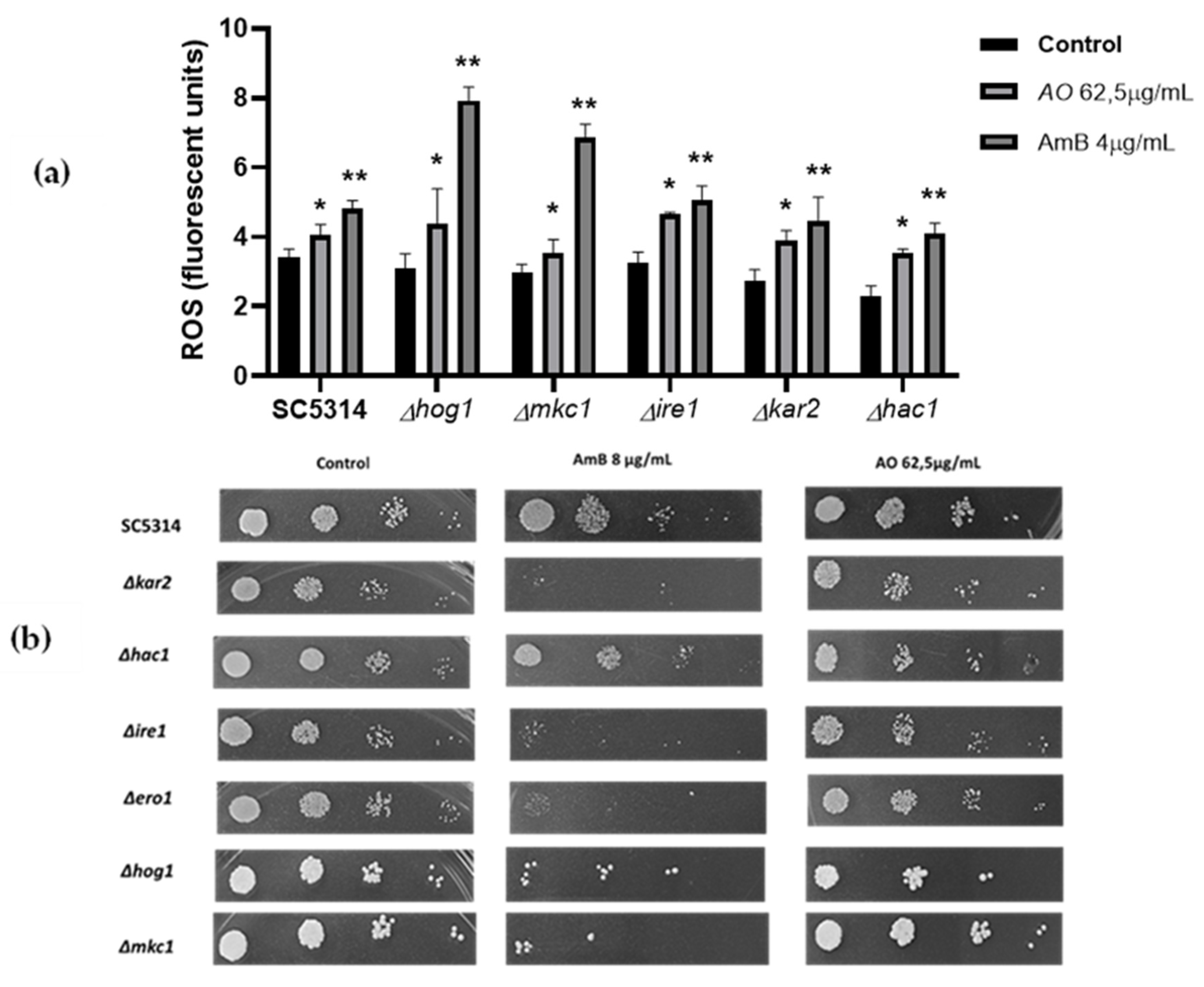 Preprints 105989 g008