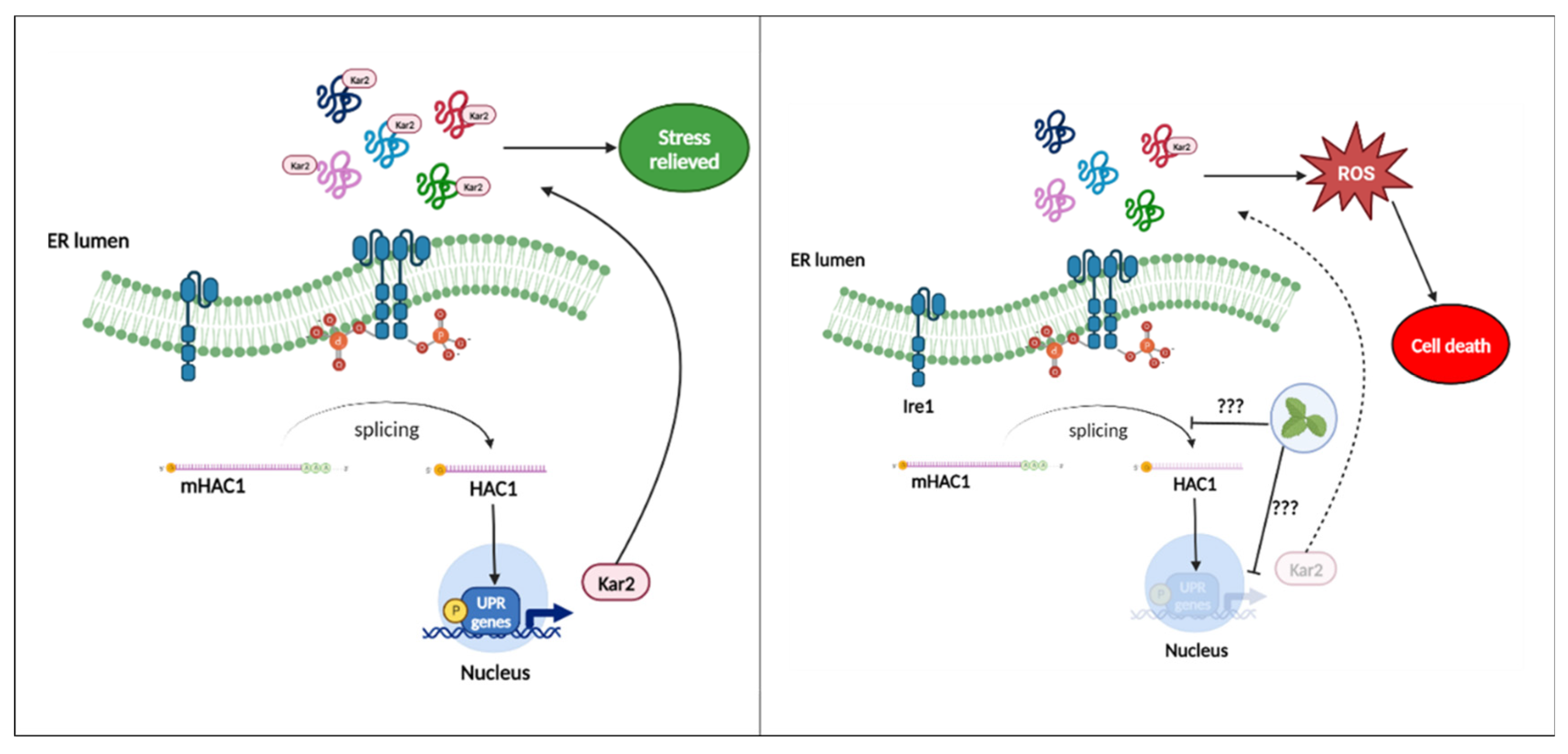 Preprints 105989 g009