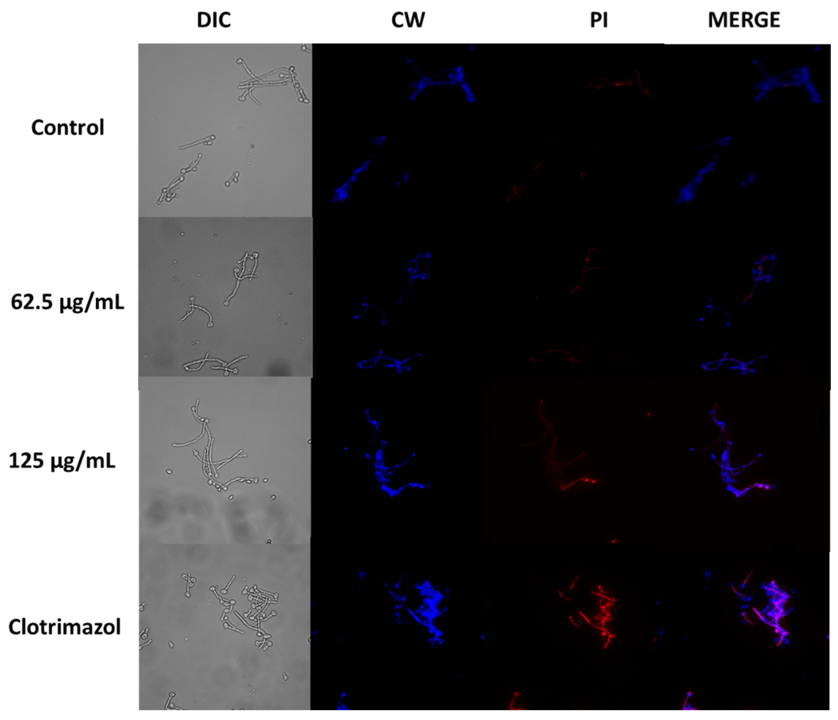 Preprints 105989 g011