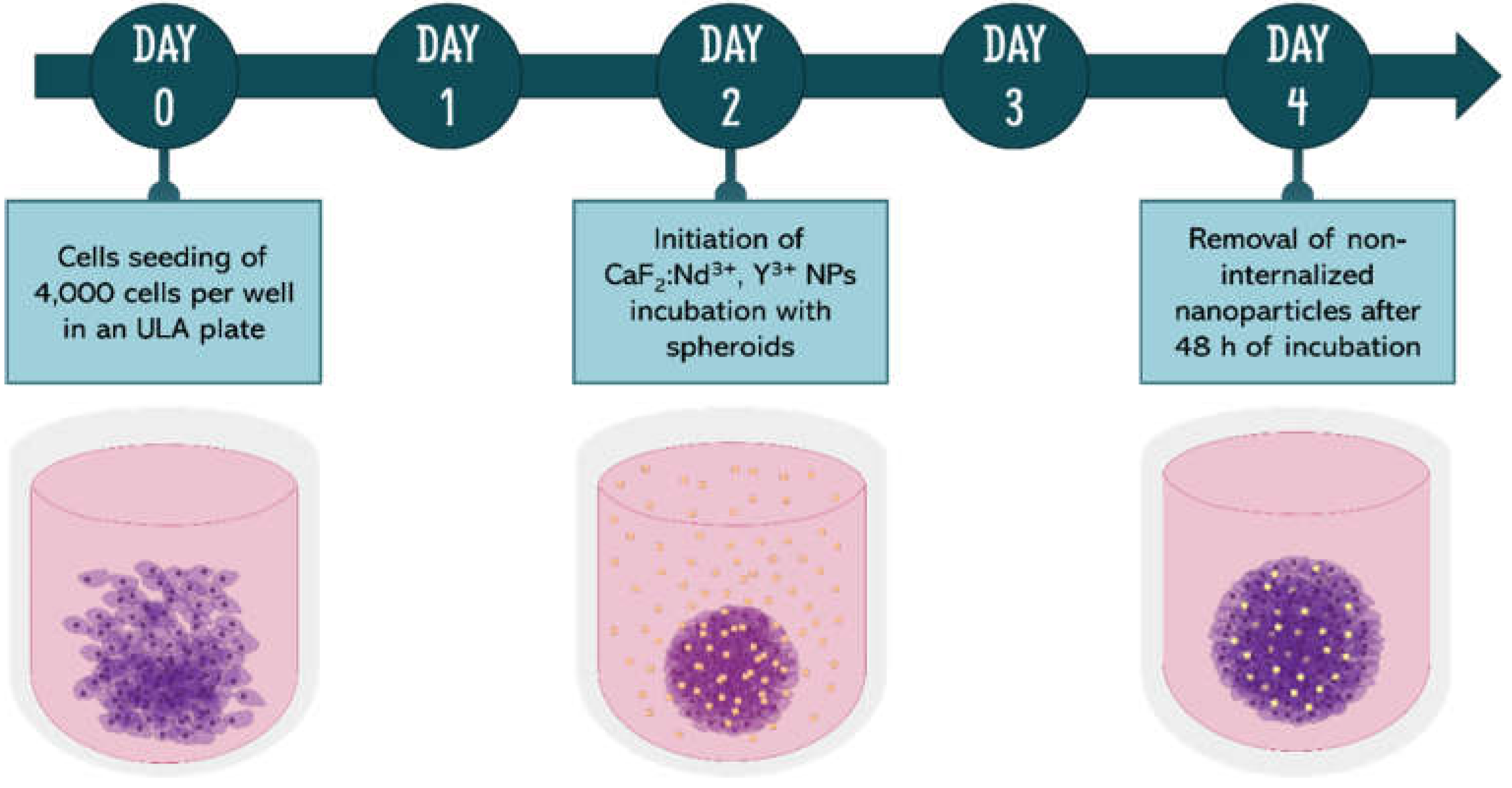 Preprints 198586 g002