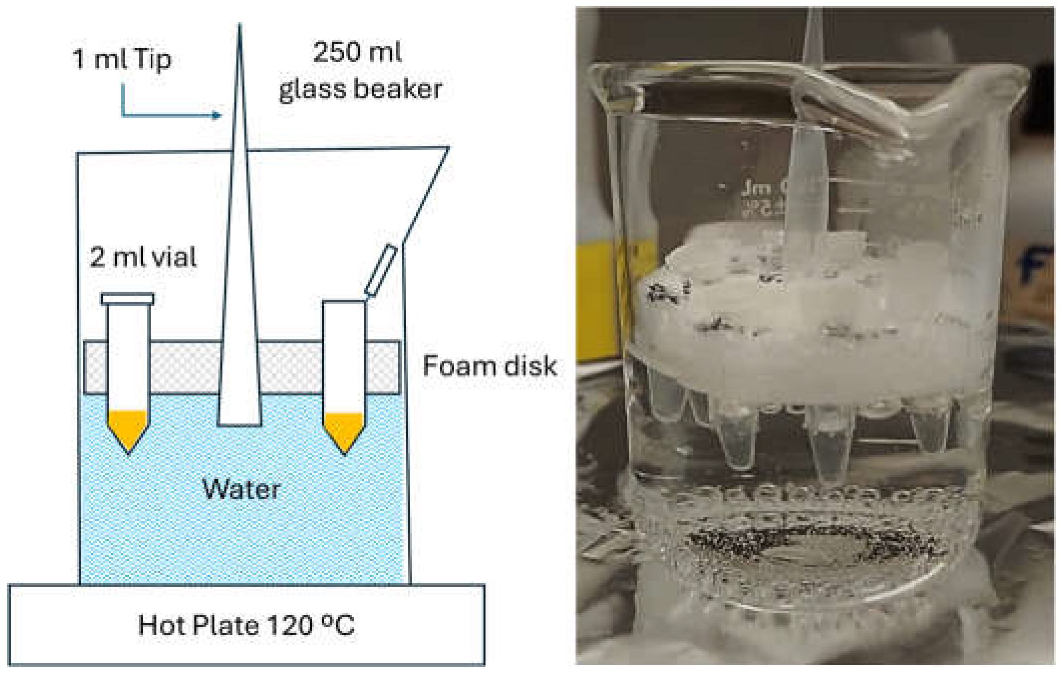 Preprints 198586 g003