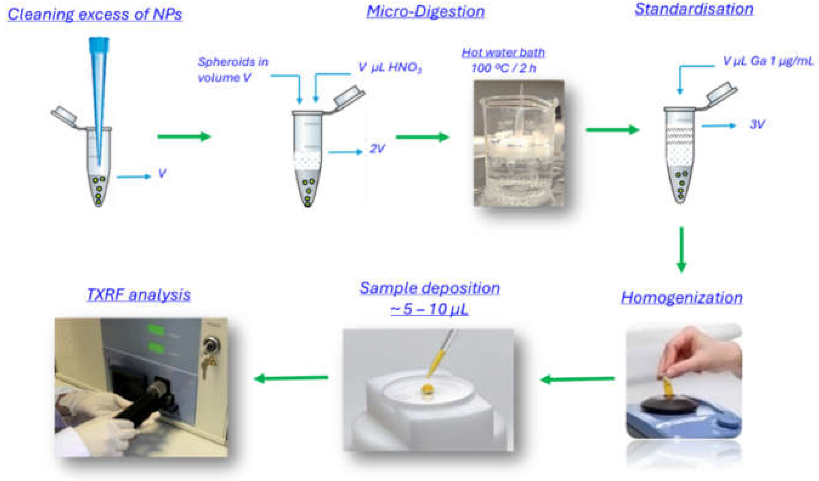 Preprints 198586 g004