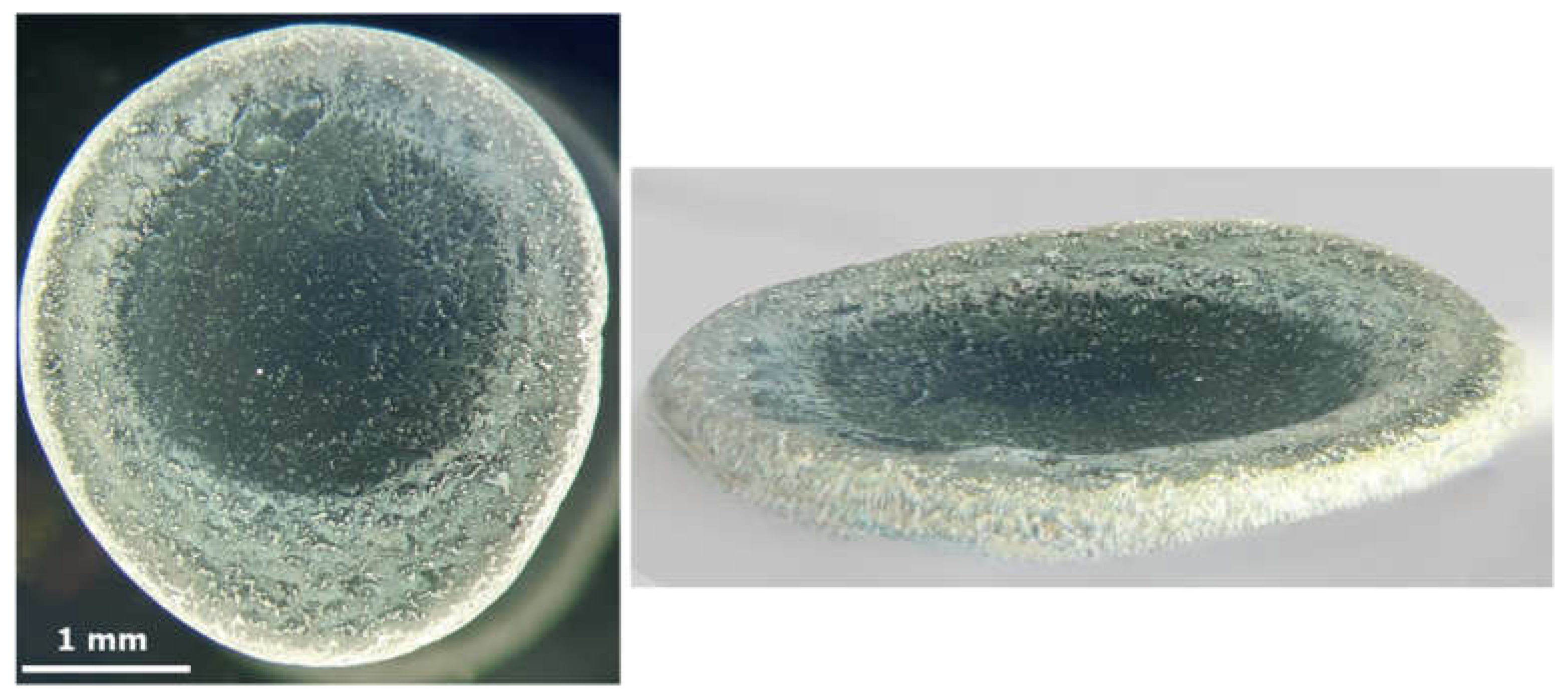 Preprints 198586 g009