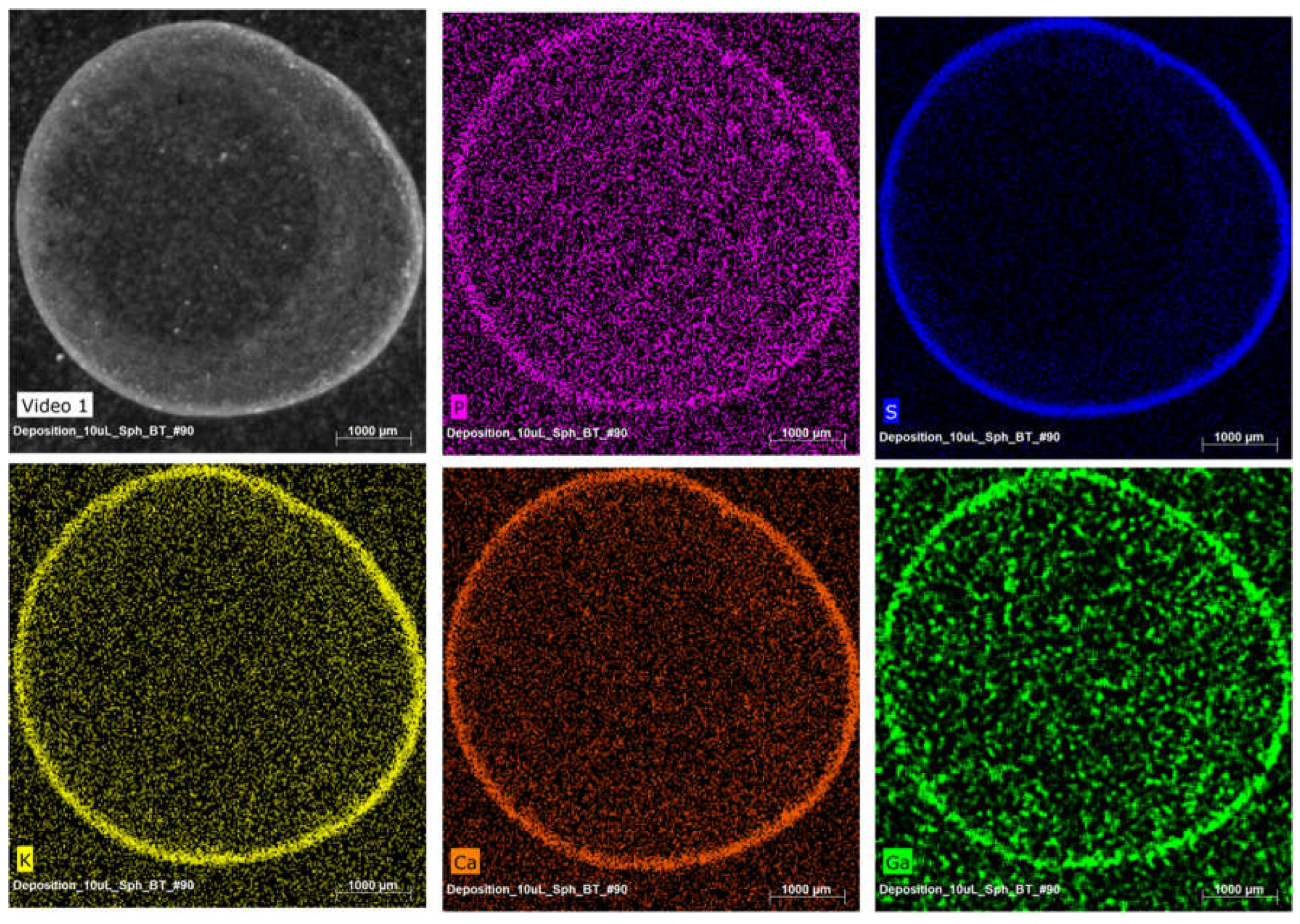 Preprints 198586 g010