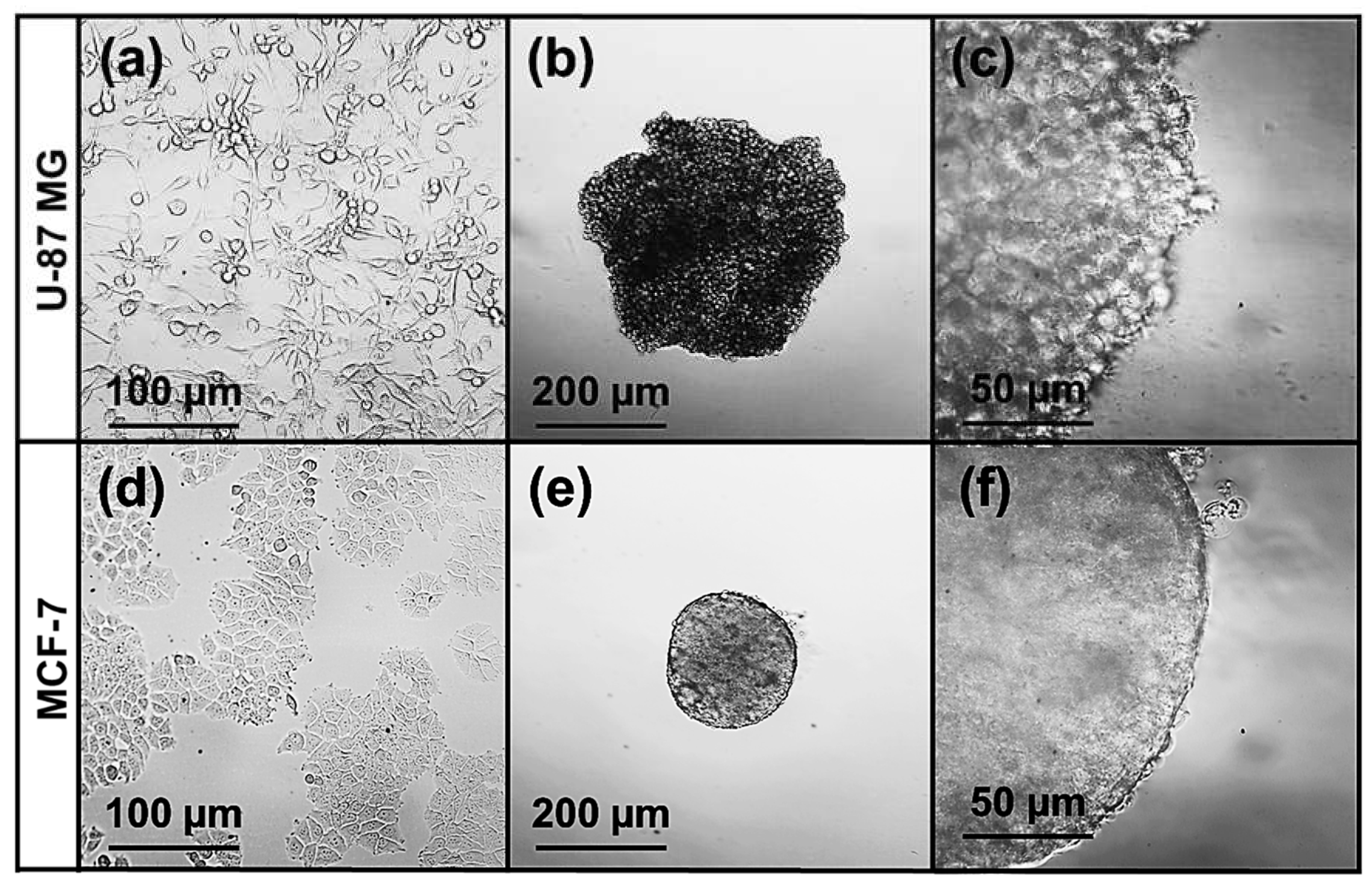 Preprints 198586 g012