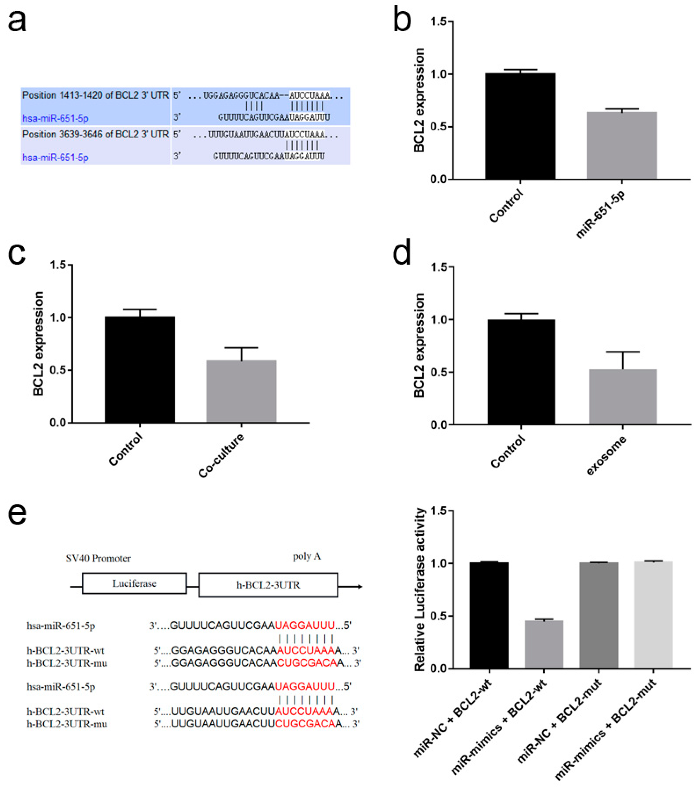 Preprints 143507 g005