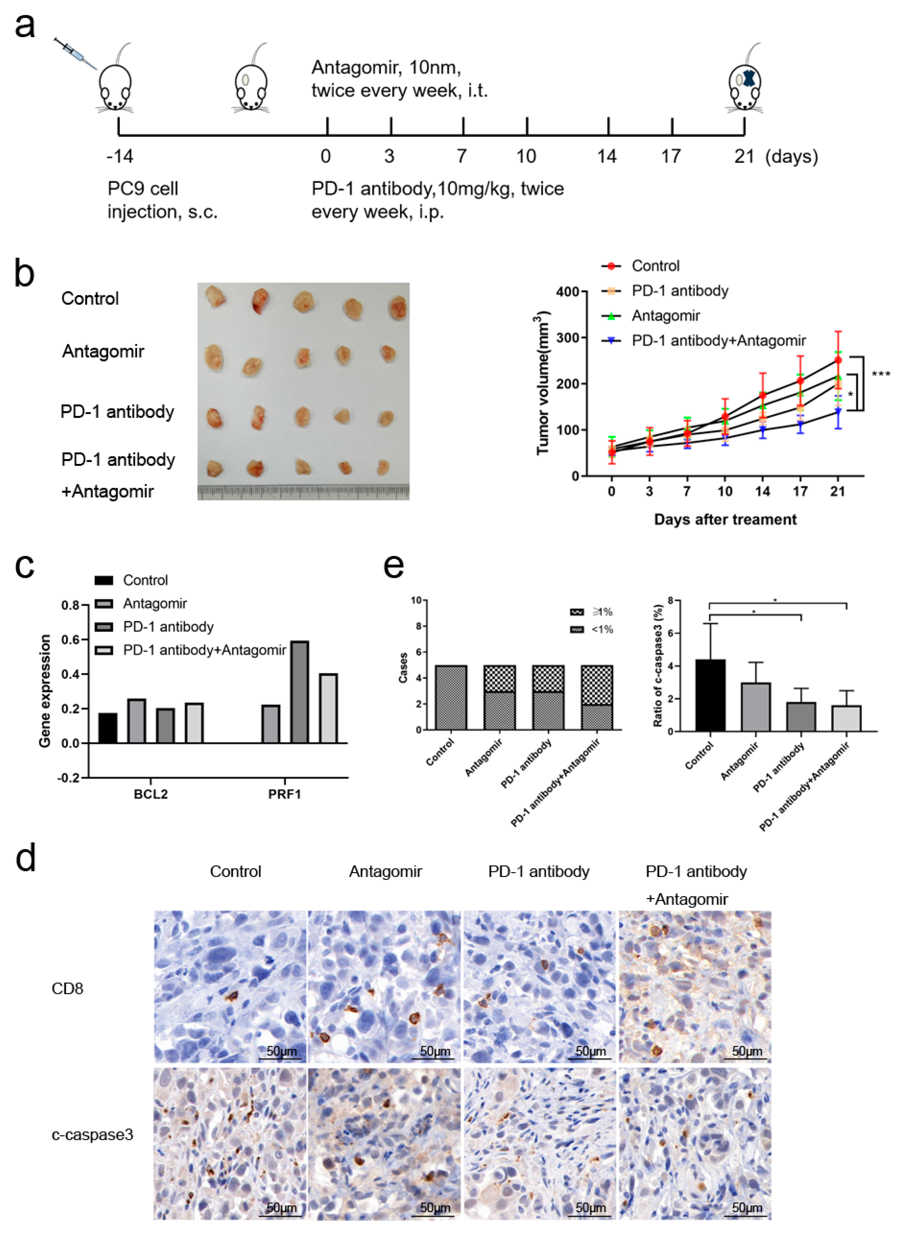 Preprints 143507 g006