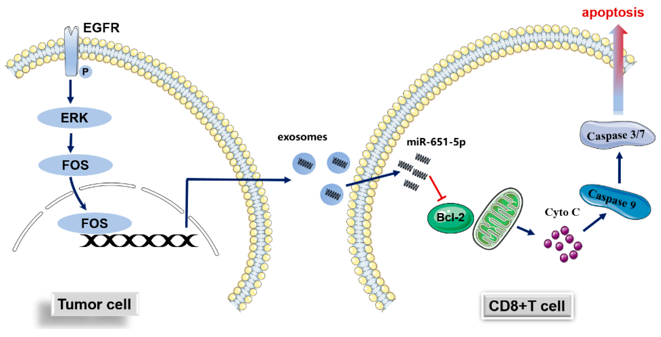 Preprints 143507 g007