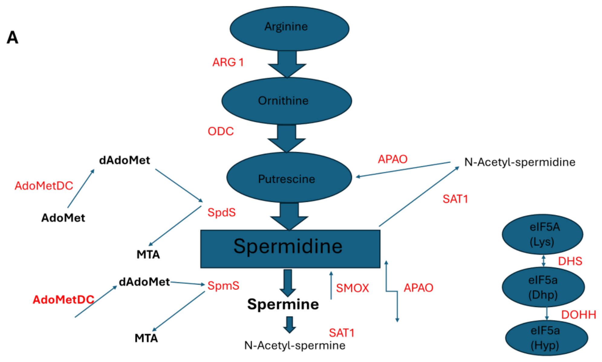 Preprints 217242 g001