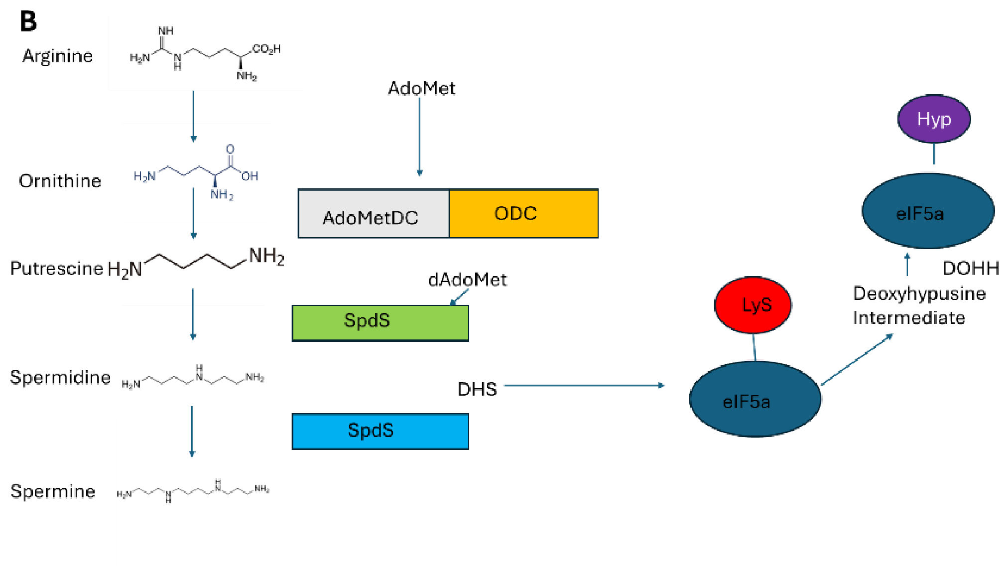 Preprints 217242 g002