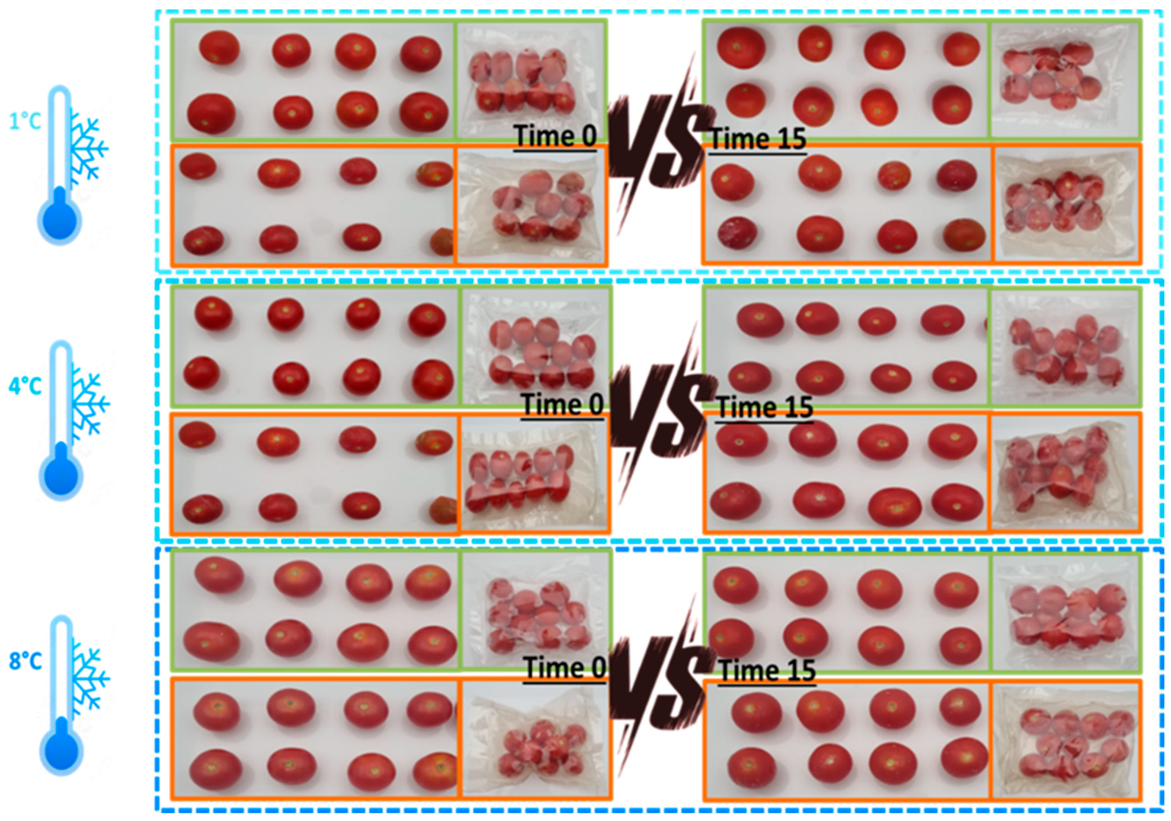 Preprints 187661 g001