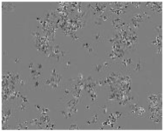 Preprints 116400 i003