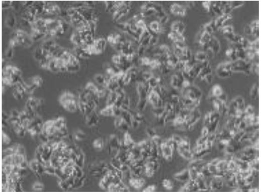 Preprints 116400 i006