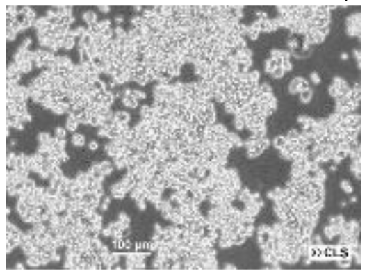 Preprints 116400 i009