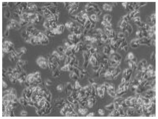 Preprints 116400 i030