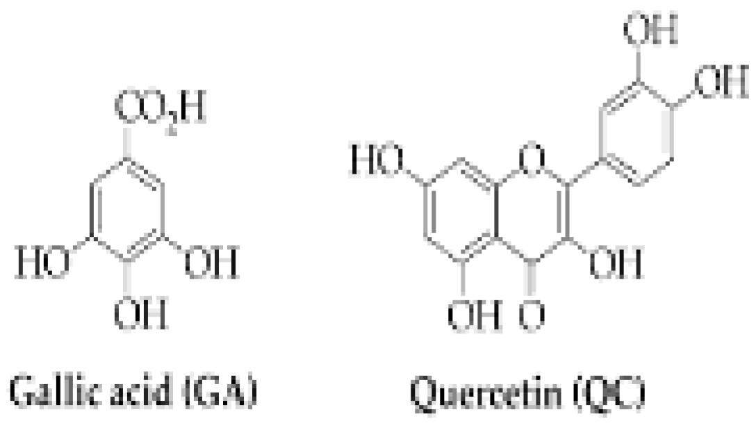 Preprints 116400 i034