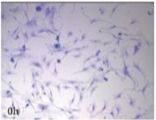 Preprints 116400 i035