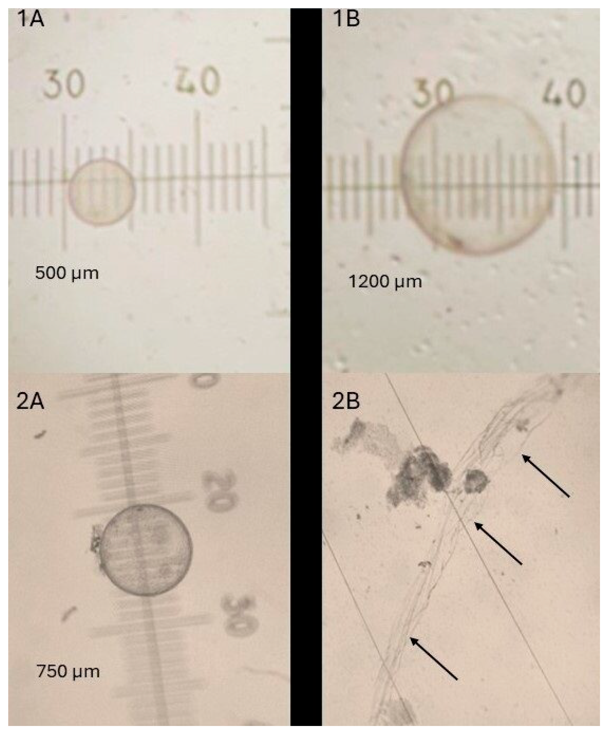 Preprints 105893 g003