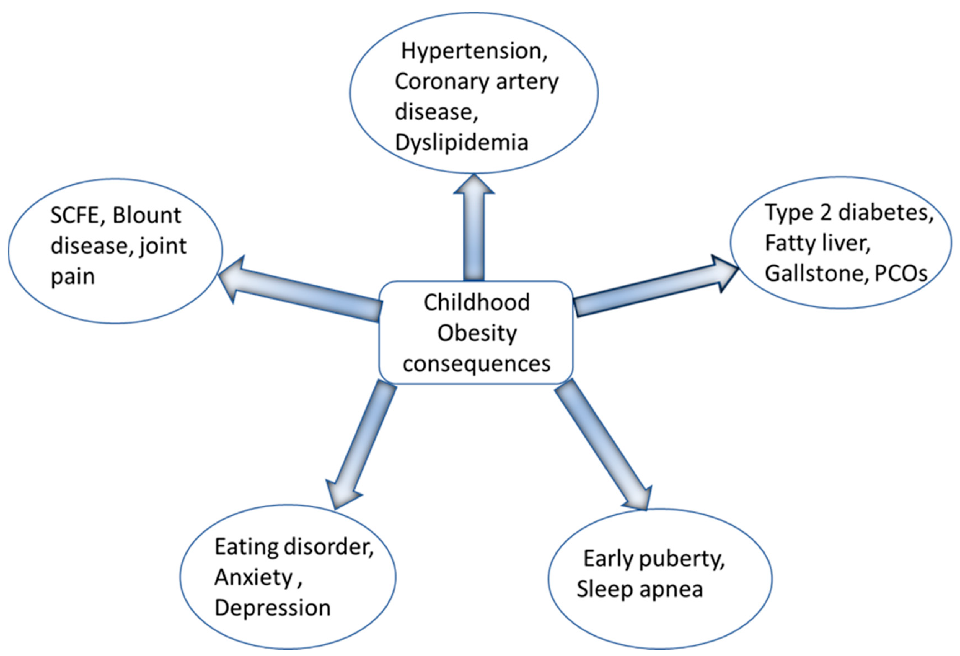 Preprints 160069 g005