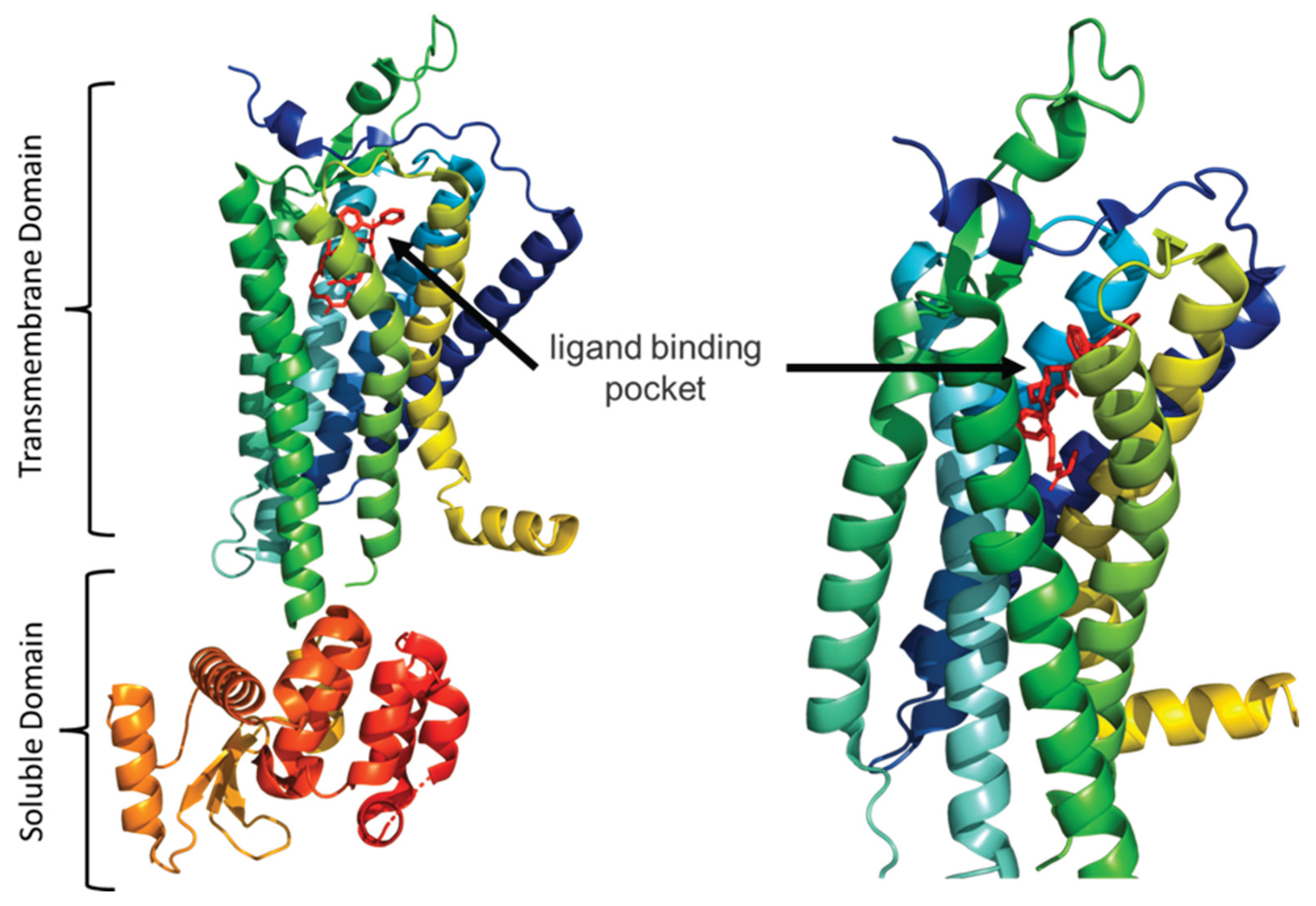 Preprints 160069 g007