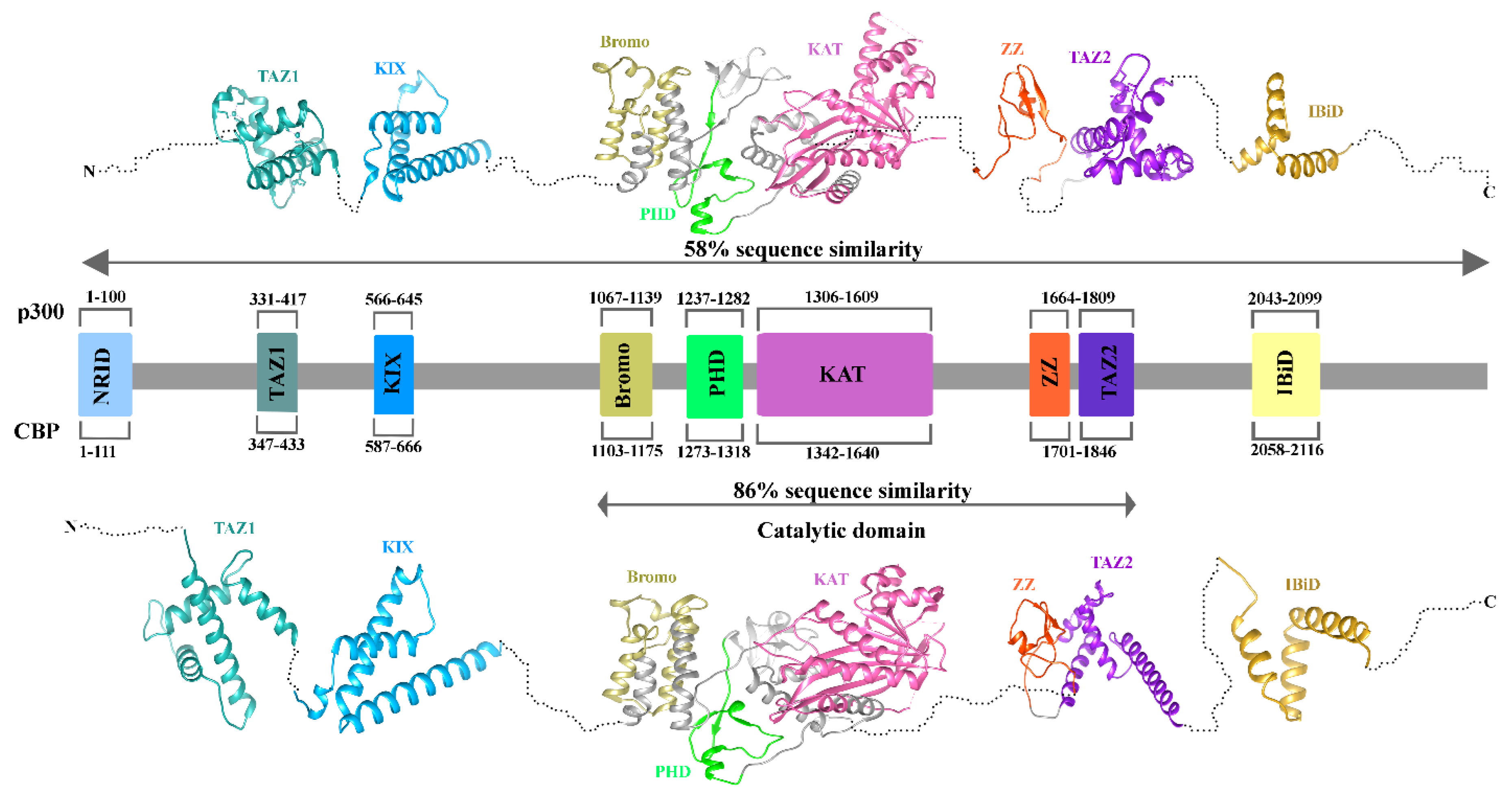 Preprints 158299 g002