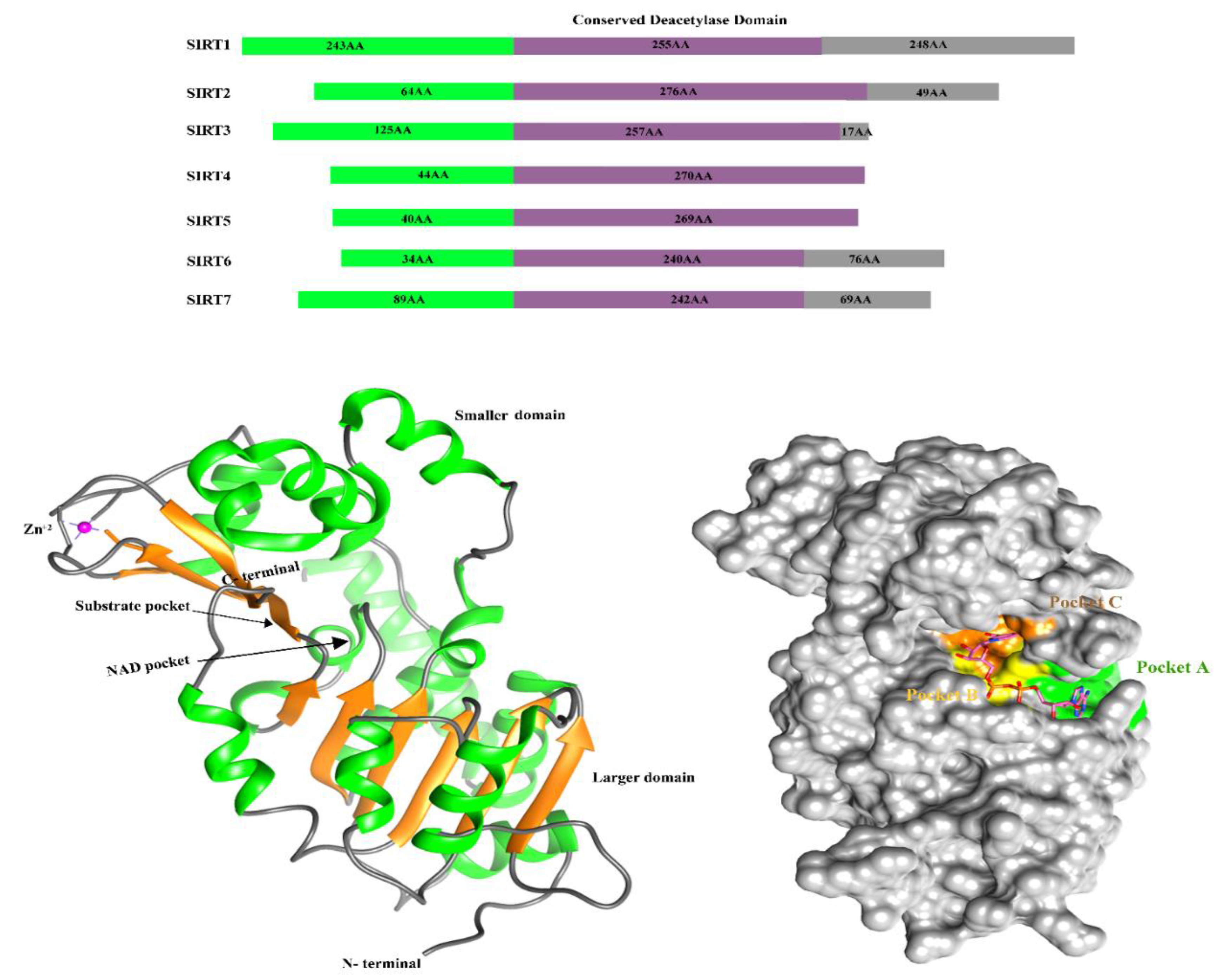 Preprints 158299 g003